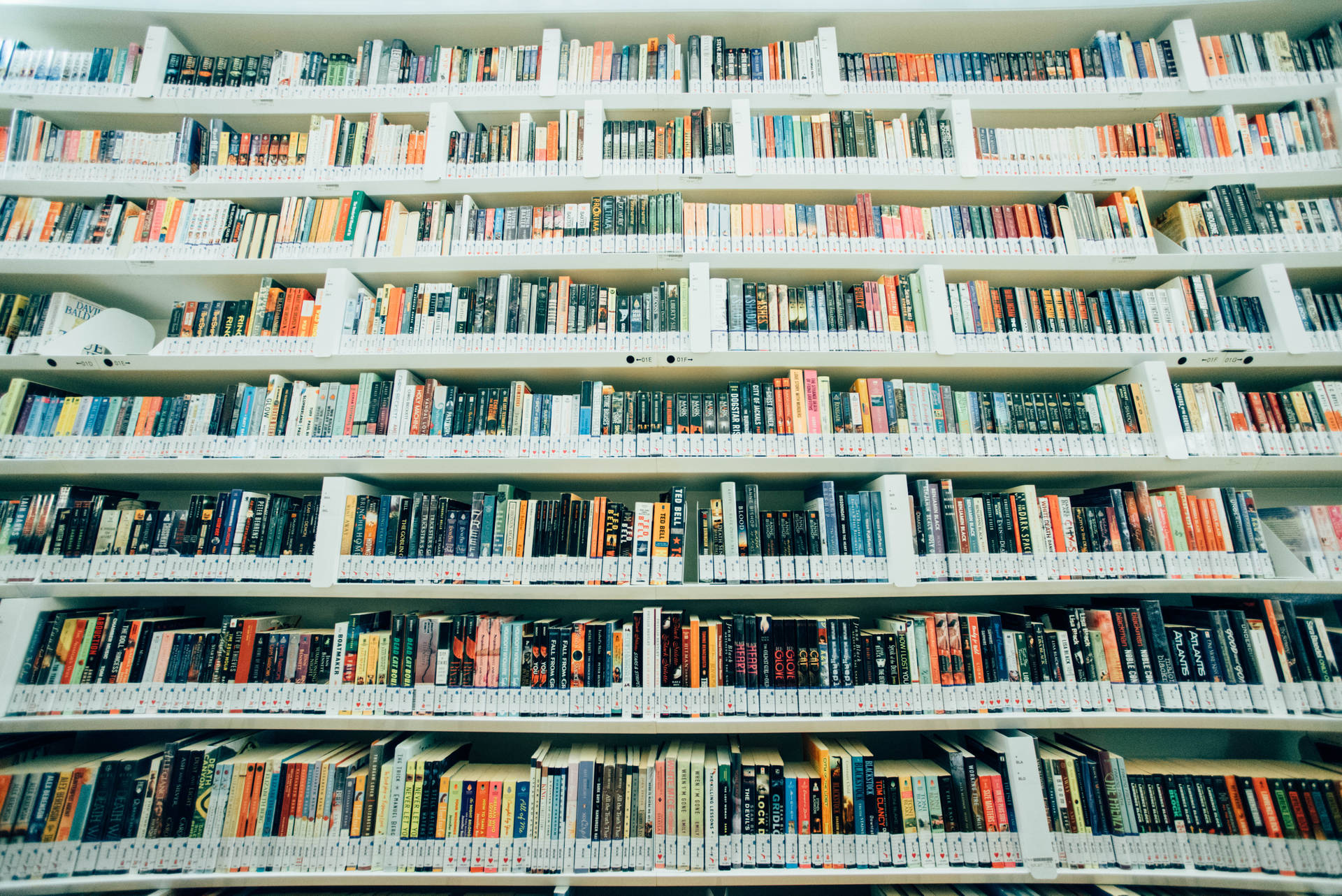 圖書館中一排排白色書架塞滿色彩繽紛的書籍。