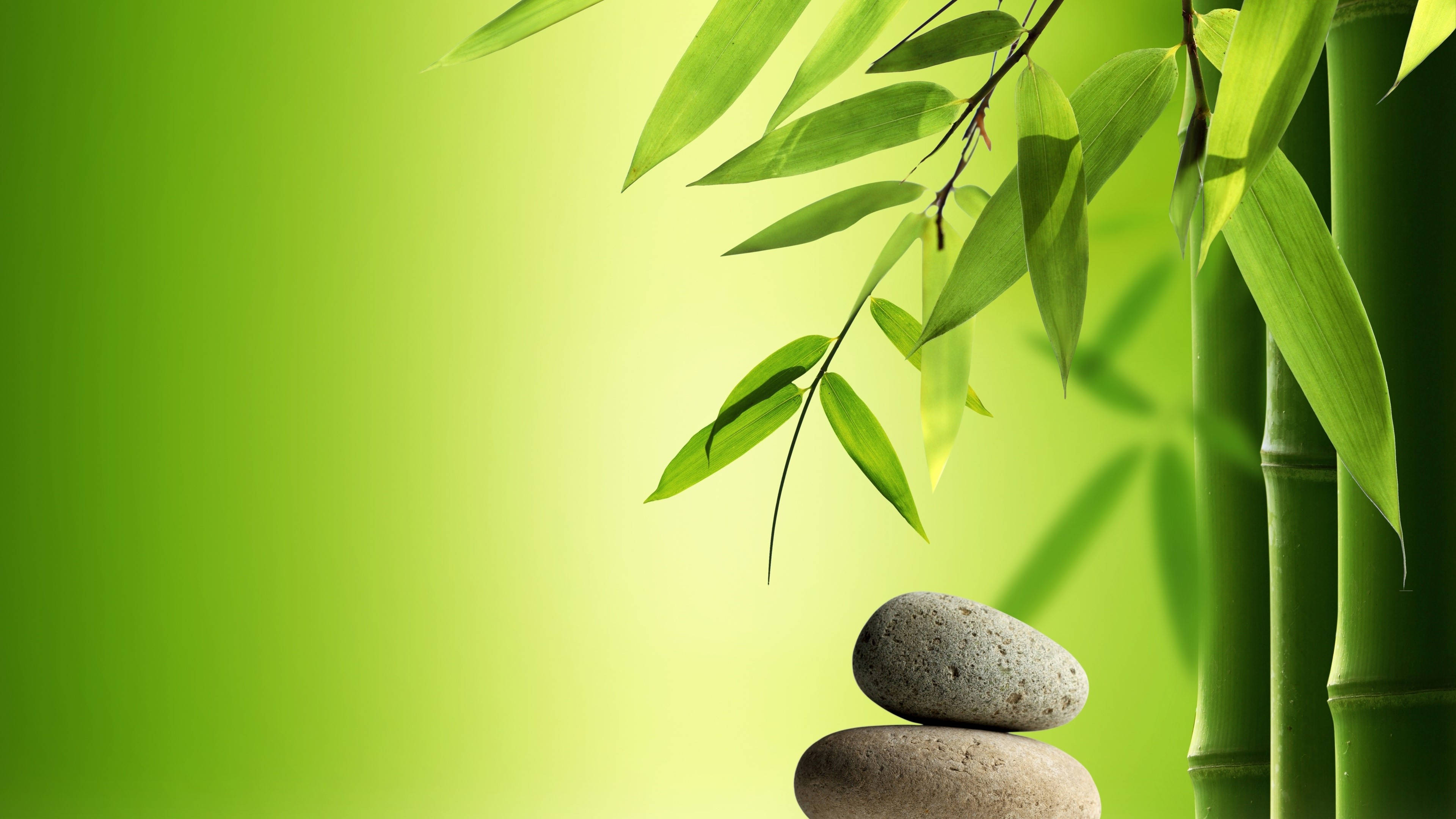 樹葉 桌布 壁紙 — 堆疊的灰色石頭放在充滿活力的綠色竹莖和葉子旁邊，背景是柔和的綠色漸變。