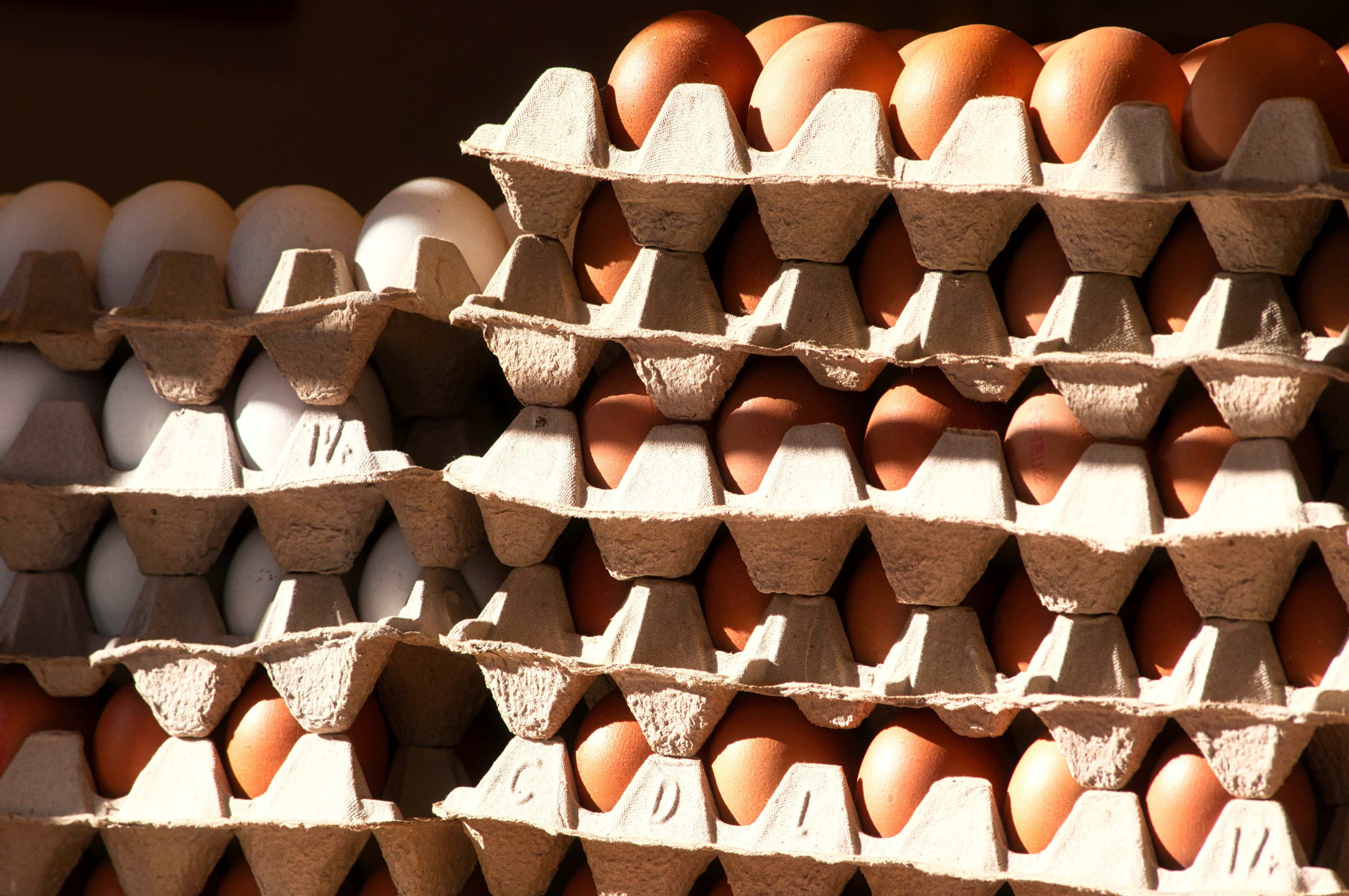 Brown Eggs 桌布 壁紙 — 堆疊的紙板雞蛋盒裝滿了棕色和白色的雞蛋，沐浴在溫暖的陽光下。