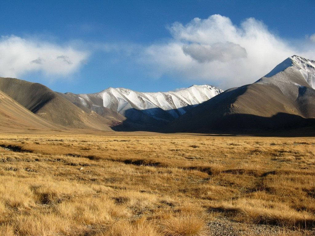 積雪覆蓋的山脈在藍天白雲下矗立於金色草原之後。