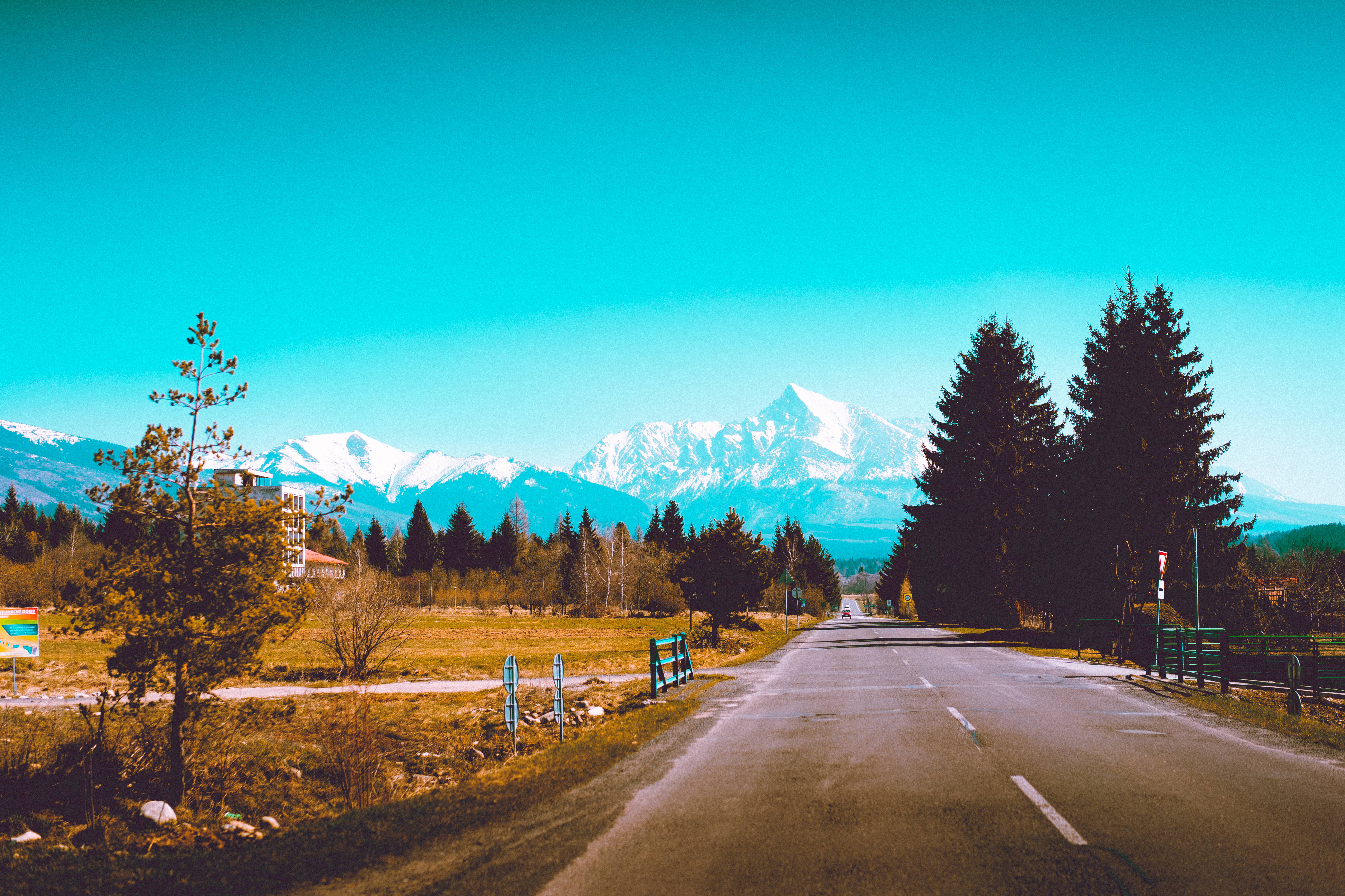 塔特拉山風景高質桌面壁紙 壁紙 — 一條蜿蜒的道路在充滿活力的藍綠色天空下延伸至白雪覆蓋的山脈，兩旁排列著常青樹。