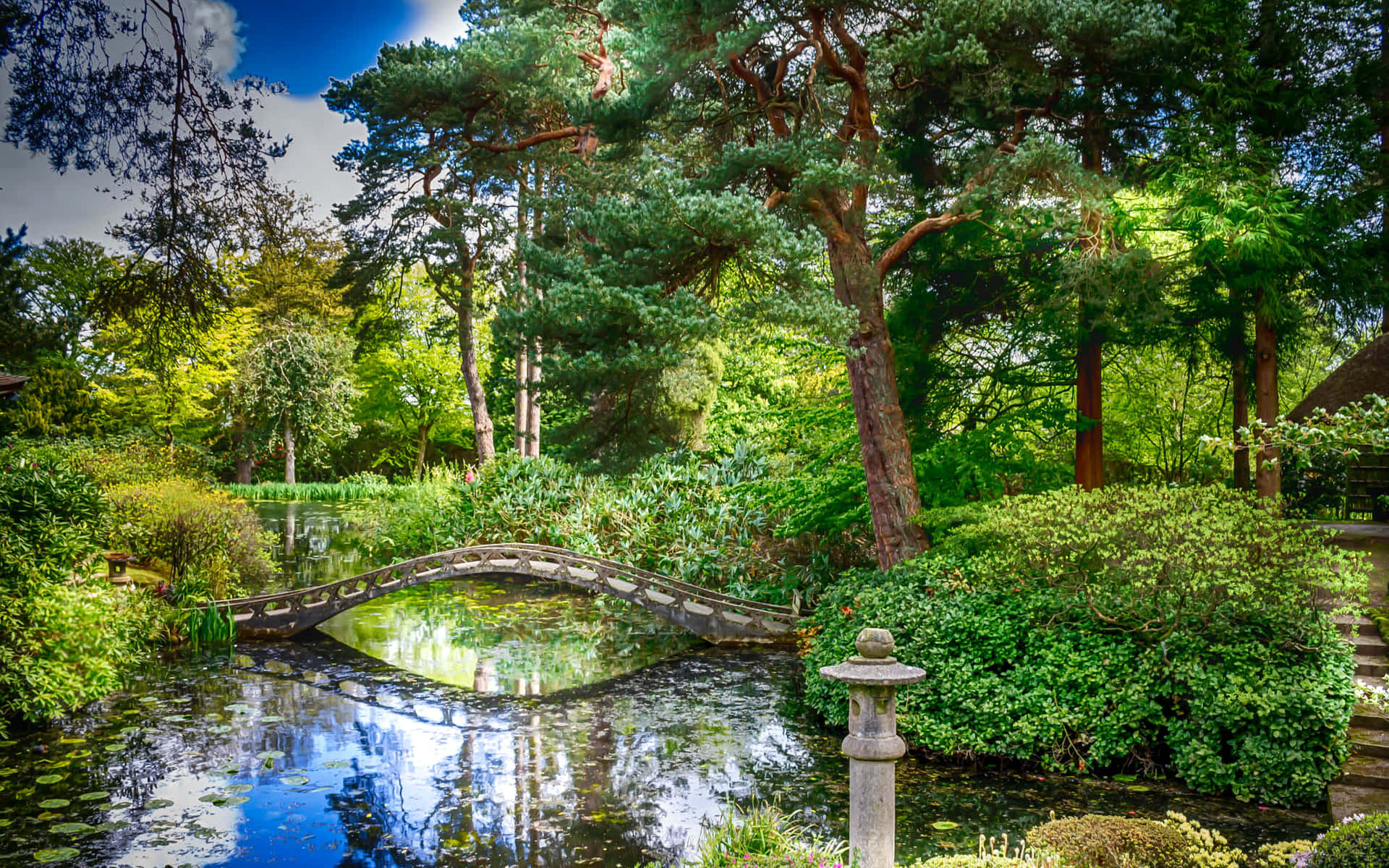 日本花園中睡蓮池塘上的石橋及周圍的綠植。