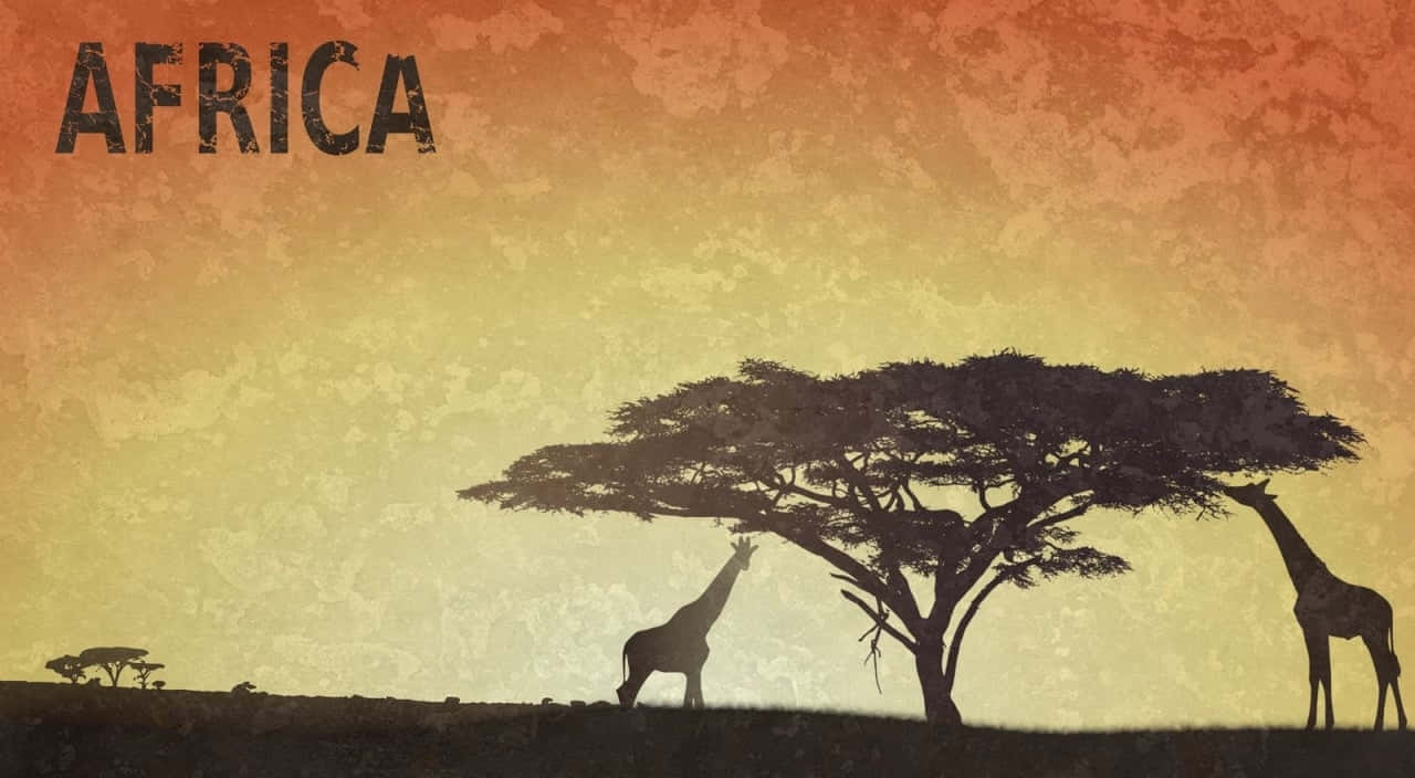 日落時分，兩隻長頸鹿在金合歡樹下，帶有「AFRICA」文字。