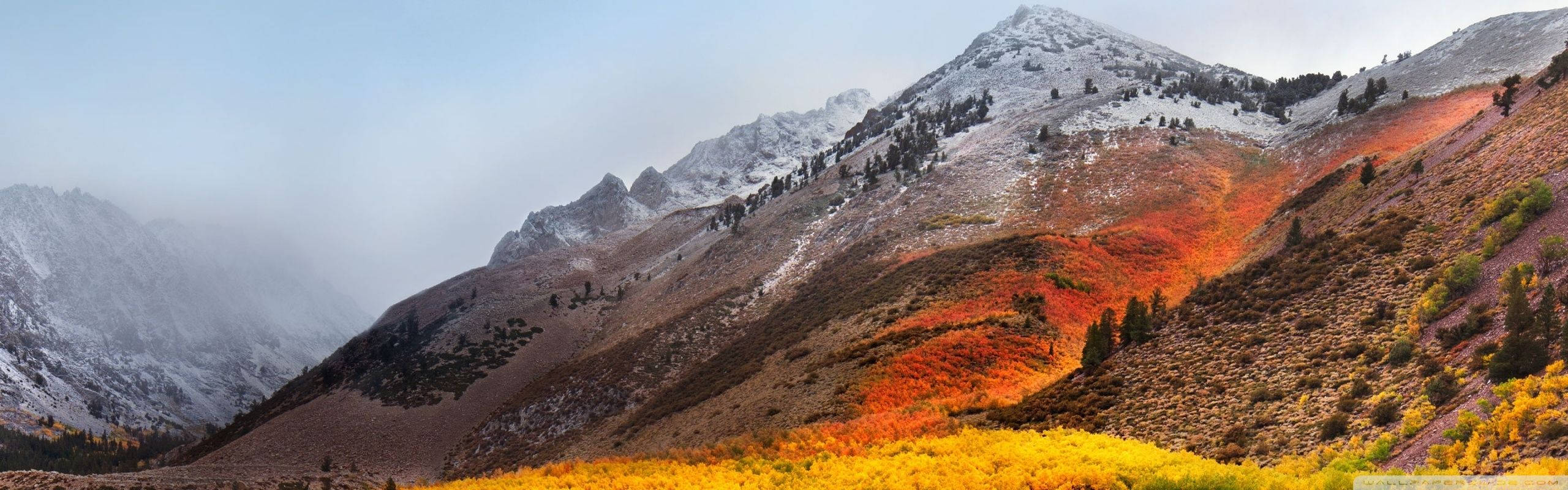 晴朗天空下，白雪覆蓋的山峰和秋色山坡。
