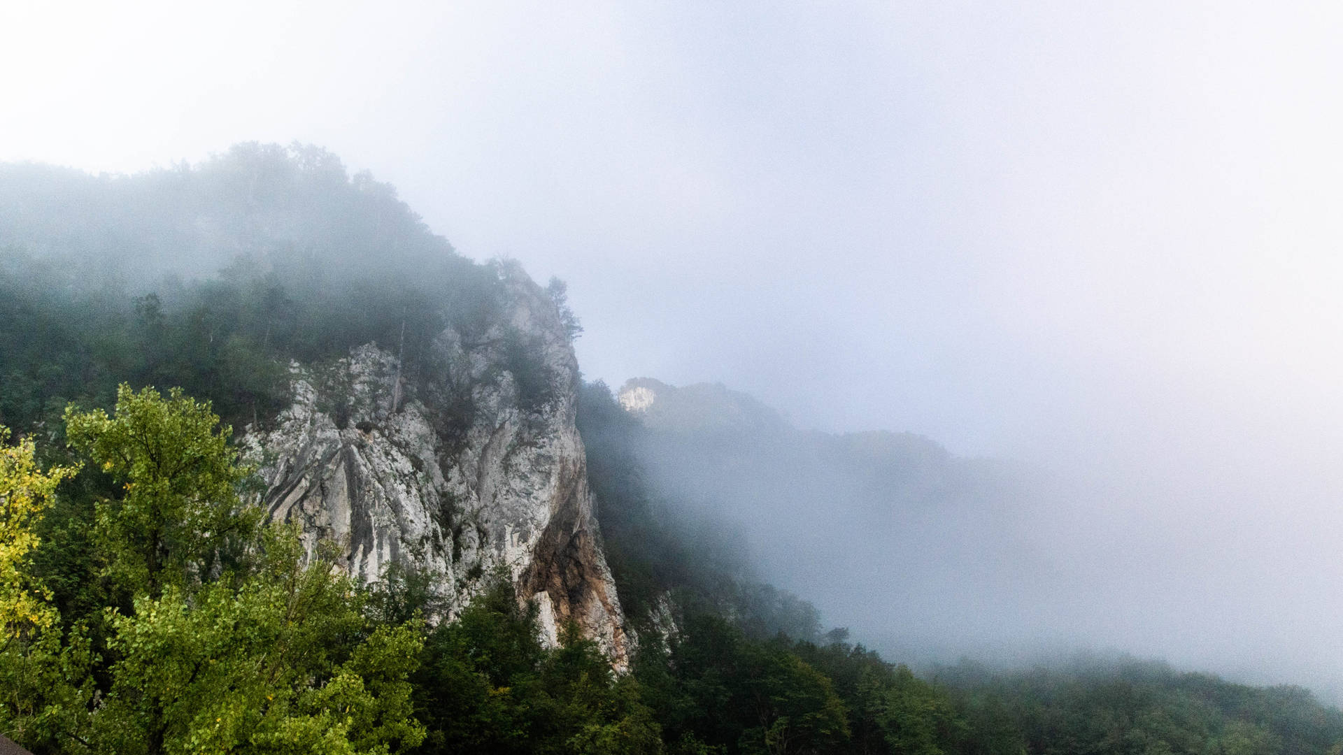 霧氣籠罩的山，岩石峭壁和下方的森林。