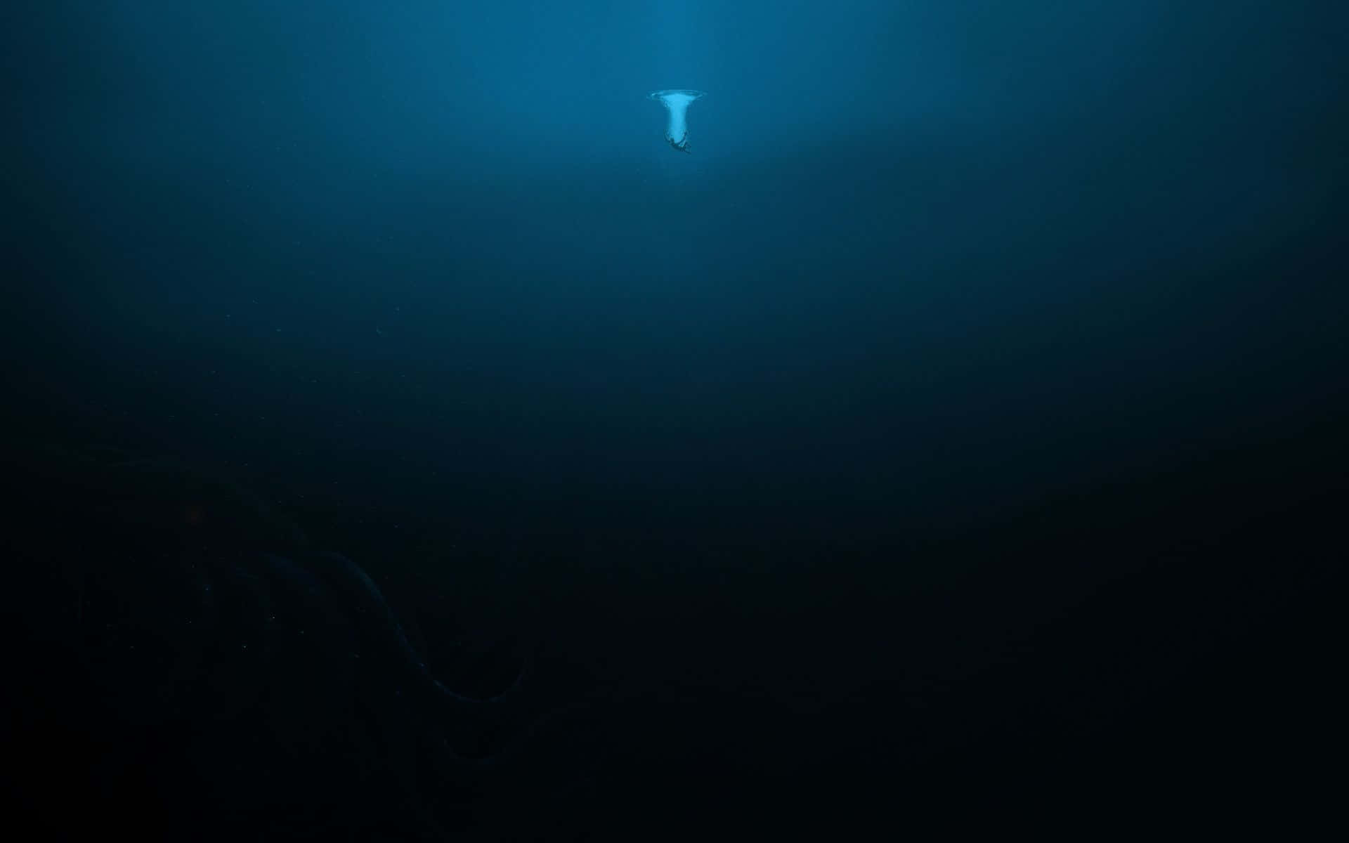 一隻發光的水母在單一光束照射的黑暗海水中向上漂浮。