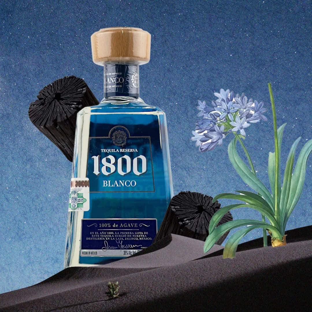 墨西哥品牌1800龍舌蘭酒Reserva Silver Blanco與花卉畫作背景 壁紙 — 一瓶標有1800 Blanco的藍色龍舌蘭酒瓶放在黑暗的沙丘上，在星空下，旁邊有龍舌蘭植物和紫色花朵。