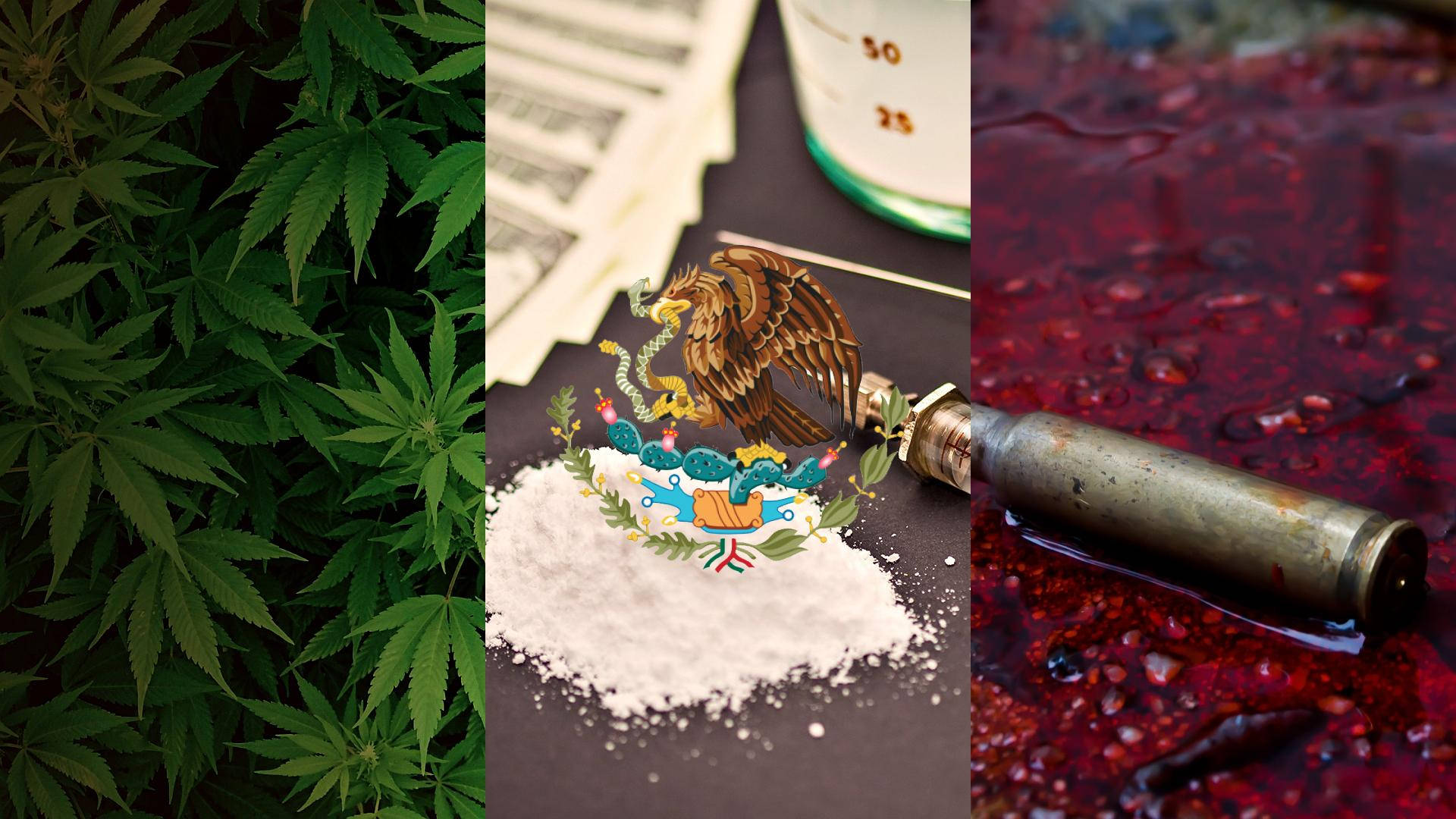 墨西哥國旗背後的隱喻 壁紙 — 三面板拼貼畫：茂盛的綠色大麻葉、墨西哥國旗標誌在可卡因堆上附有注射器，以及生鏽的子彈在深紅色液體中。