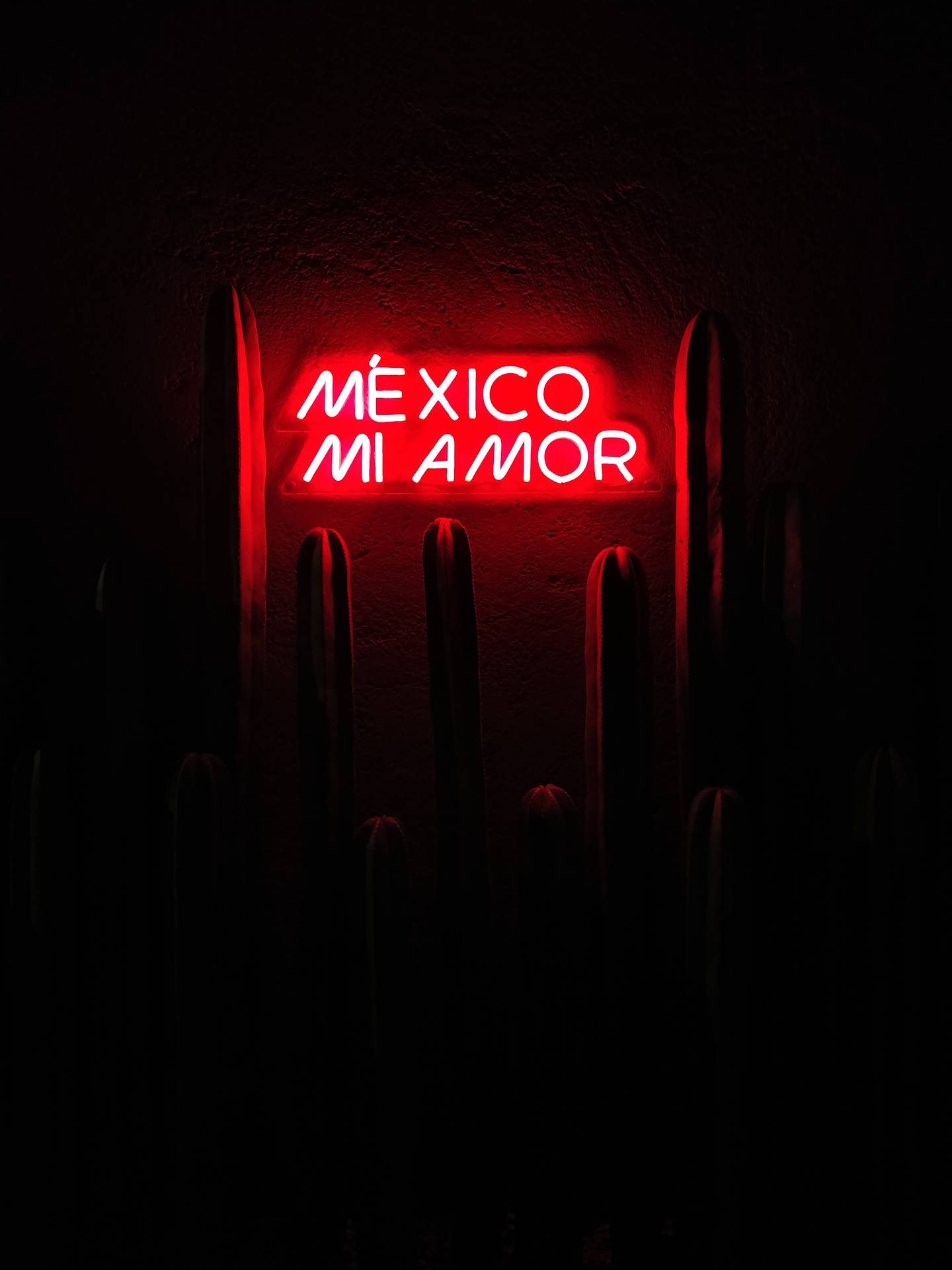 在黑暗的仙人掌剪影中，一個寫著 Mexico Mi Amor 的紅色霓虹燈牌。 — 深紅色動圖 壁紙