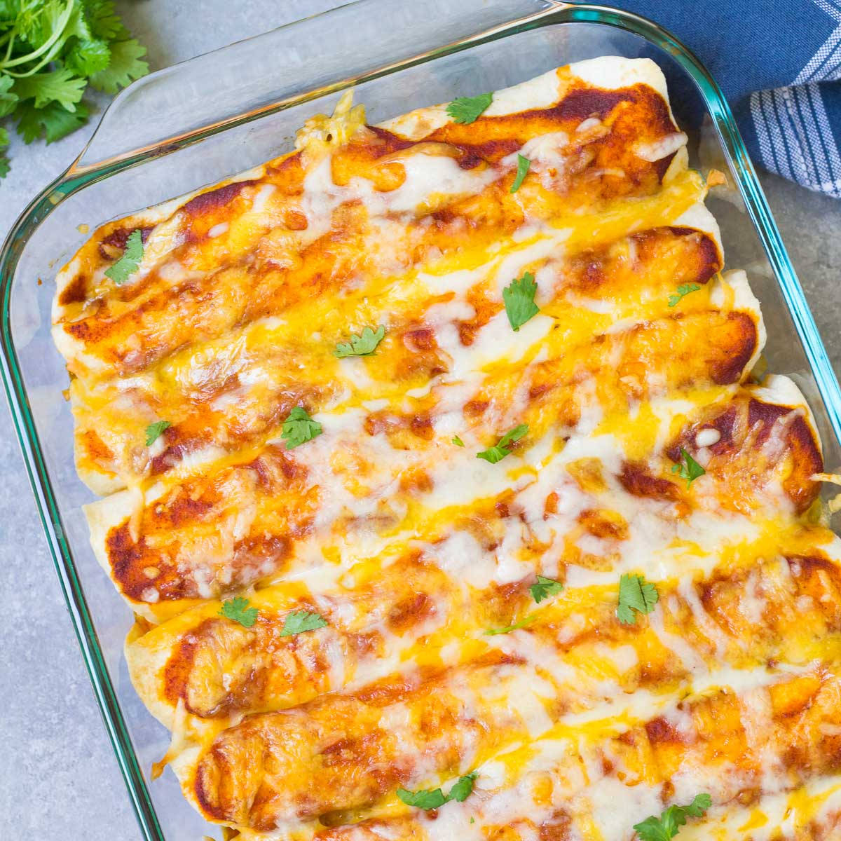 墨西哥烘烤 enchiladas 配芝士頂層 壁紙 — 金黃色芝士玉米捲餅放在玻璃烤盤中，飾以新鮮芫荽。
