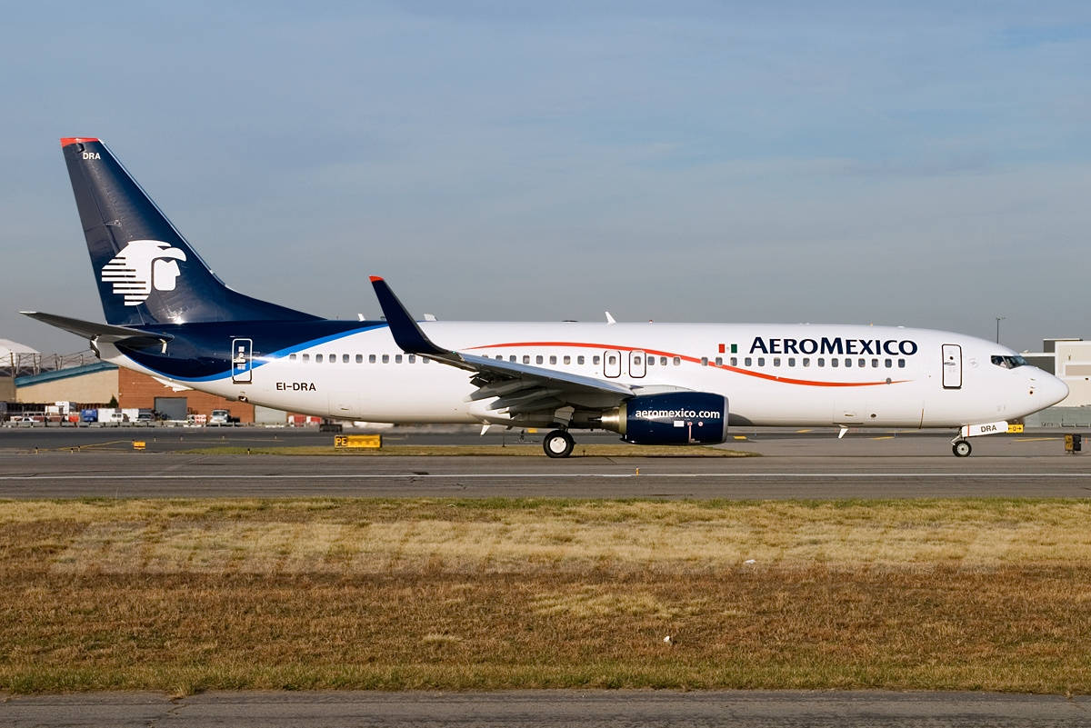 Aeromexico 客機停在機場停機坪，前景有草地。