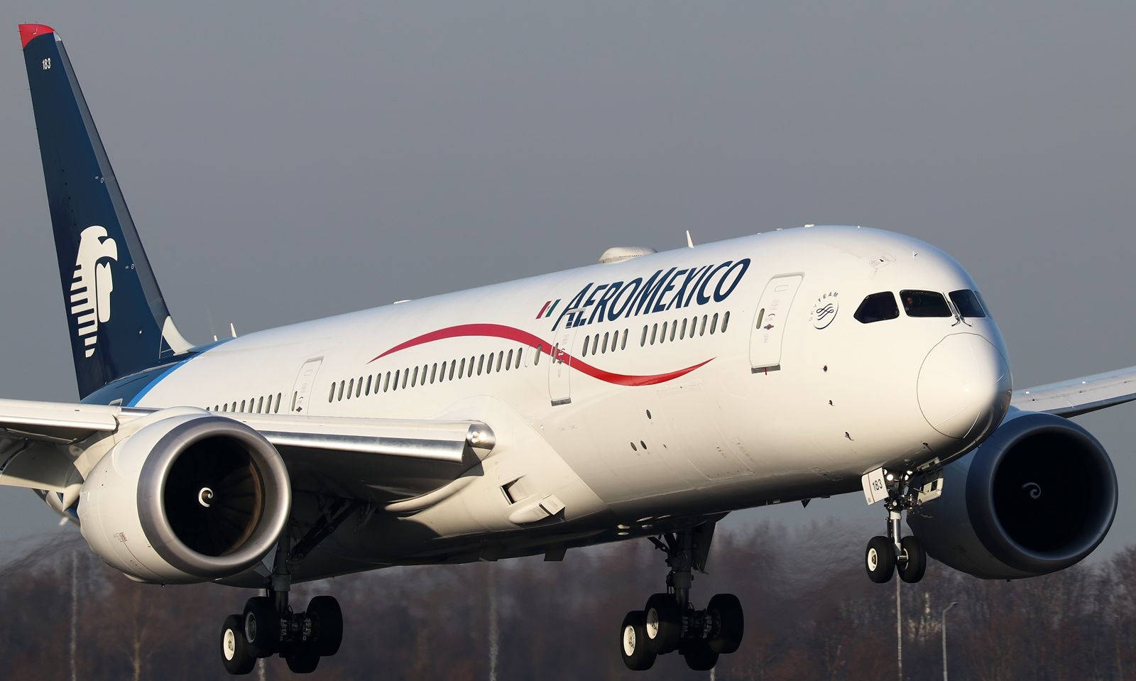 Aeromexico 飛機在陰天降落時起落架放下