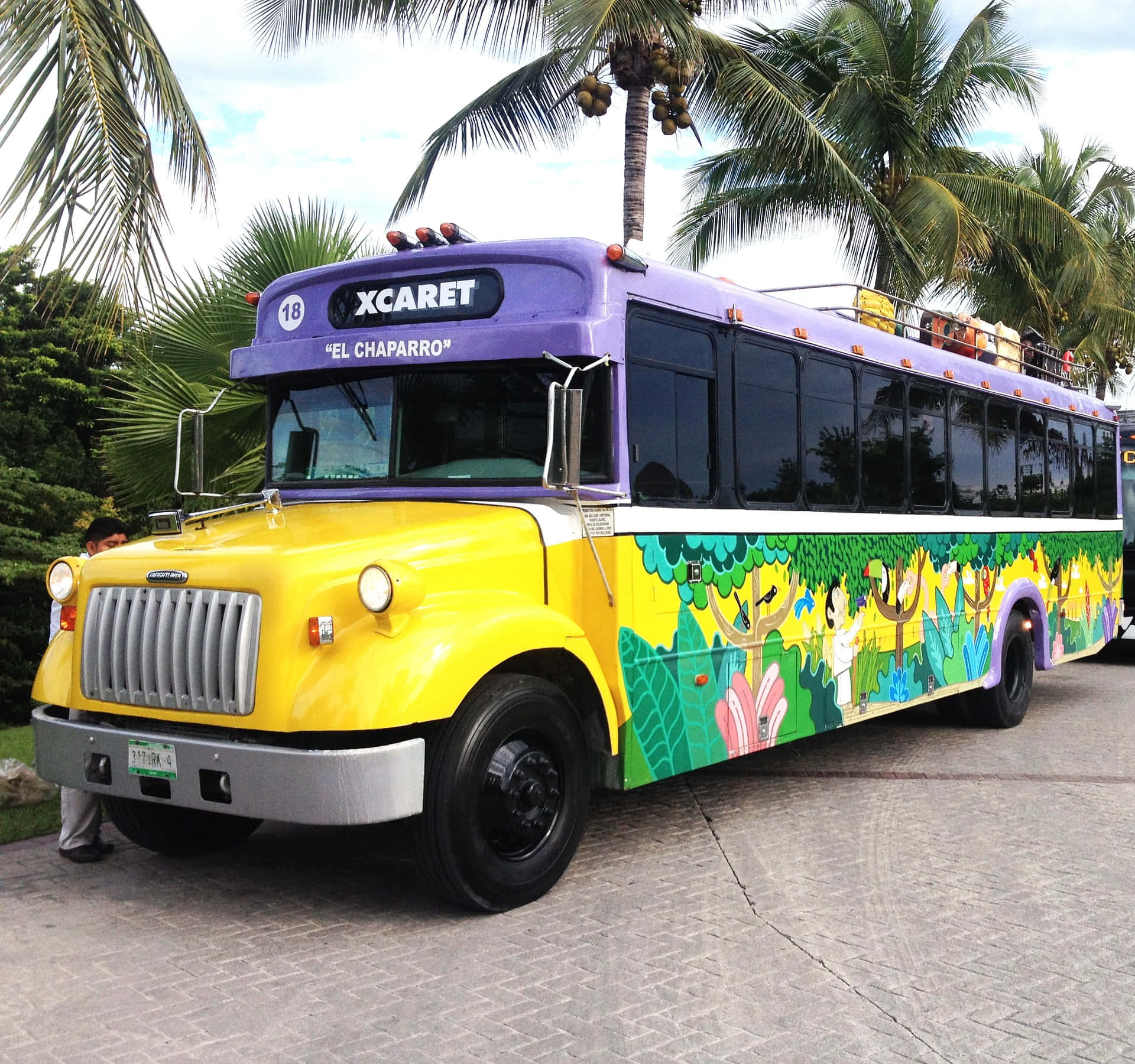 墨西哥陽光下的綠洲——歡迎來到坎昆！ 壁紙 — 一輛鮮豔的黃色和紫色旅遊巴士，帶有叢林主題藝術品，在陽光明媚的日子裡停放在棕櫚樹下。