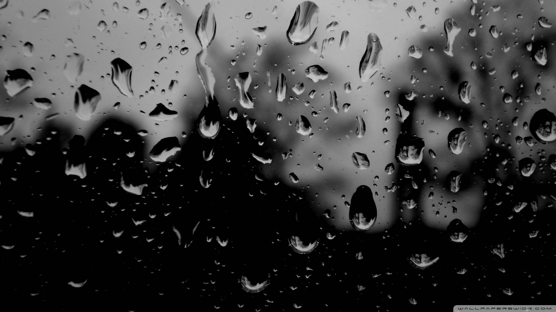 玻璃上的雨滴遮蓋了灰階模糊的戶外場景。