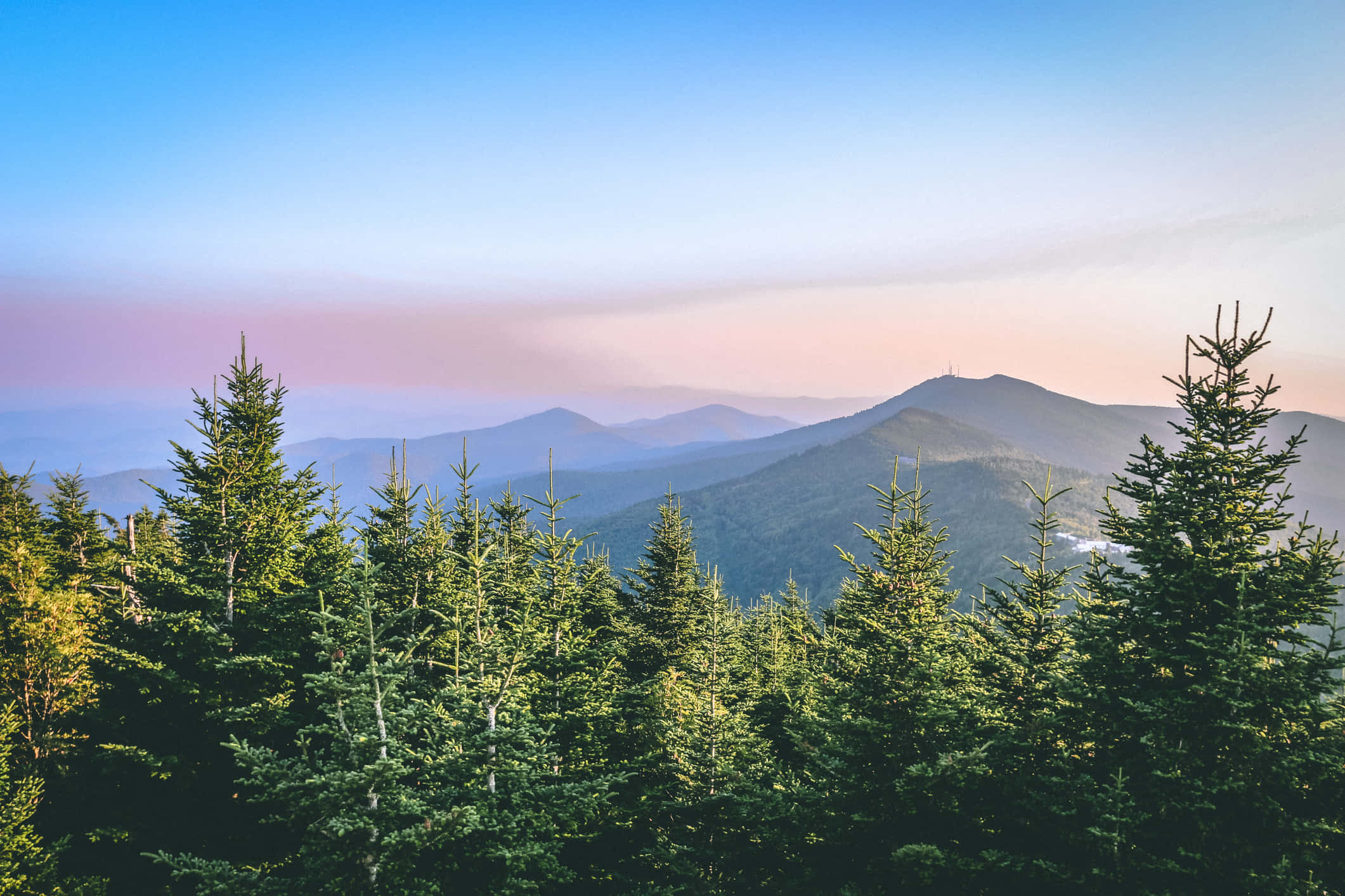 壯觀山景圖片 壁紙 — 日出在前景常綠樹的襯托下，為遠處的山脊塗上柔和的粉紅色和藍色調。