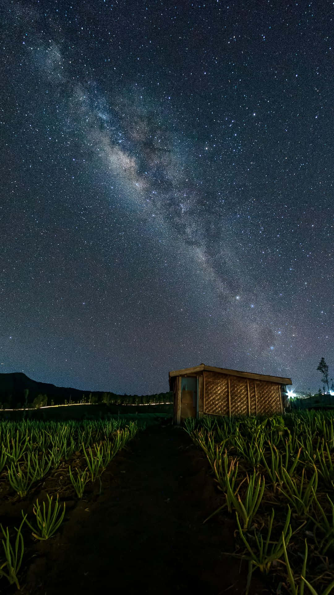 一個木棚在田野中，上方是星空，銀河可見。
