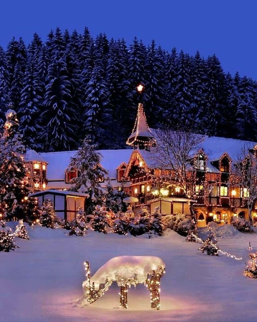 雪中小屋，節日燈飾和馴鹿雕塑，暮色中。
