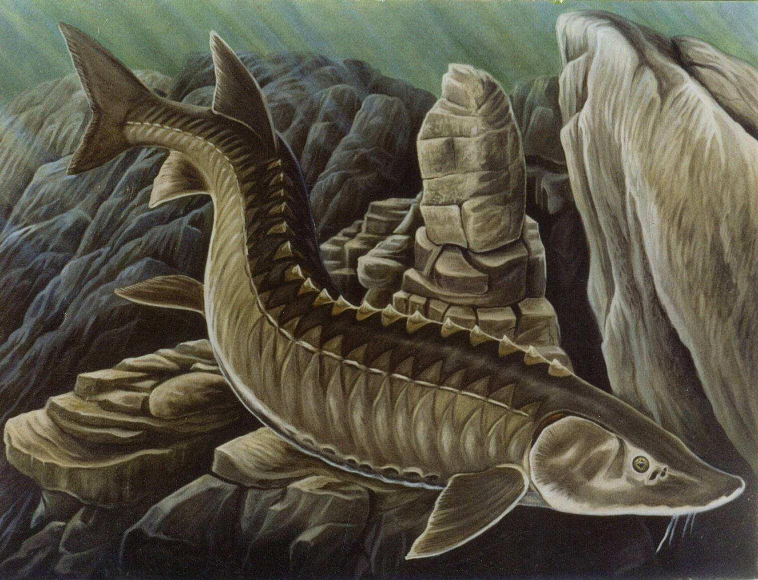 壯麗古鱘魚游動 壁紙 — 一條帶有骨板的鱘魚在柔和的大地色調繪畫中，棲息於崎嶇的水下岩石之間。