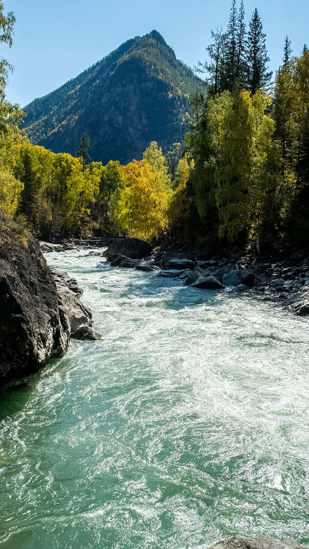 湍急河流流經秋日森林，背景有山