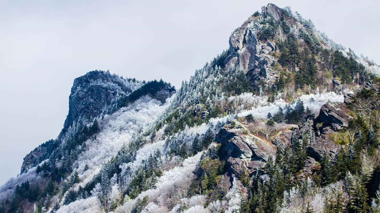 壯麗山景畫 壁紙 — 在陰天之下，一座覆蓋著薄雪的山峰，有結霜的樹木和裸露的岩石。