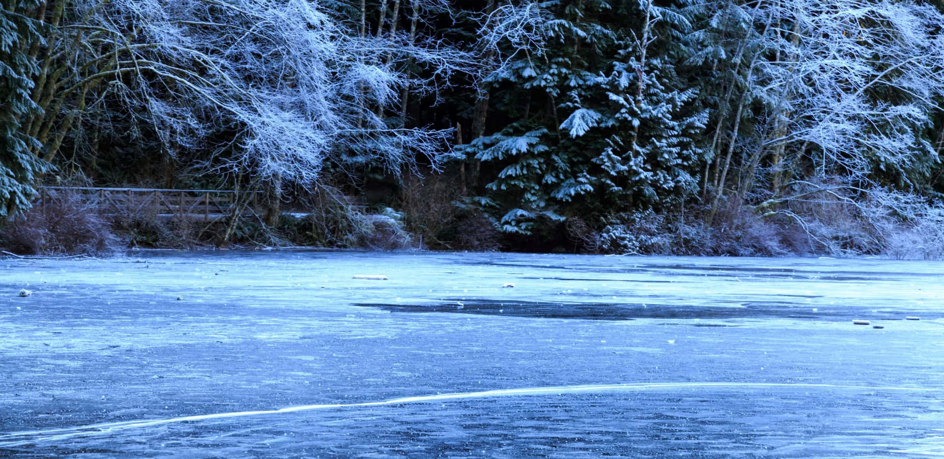 冰凍湖泊，有被雪覆蓋的樹木和一座木橋在暮色中。