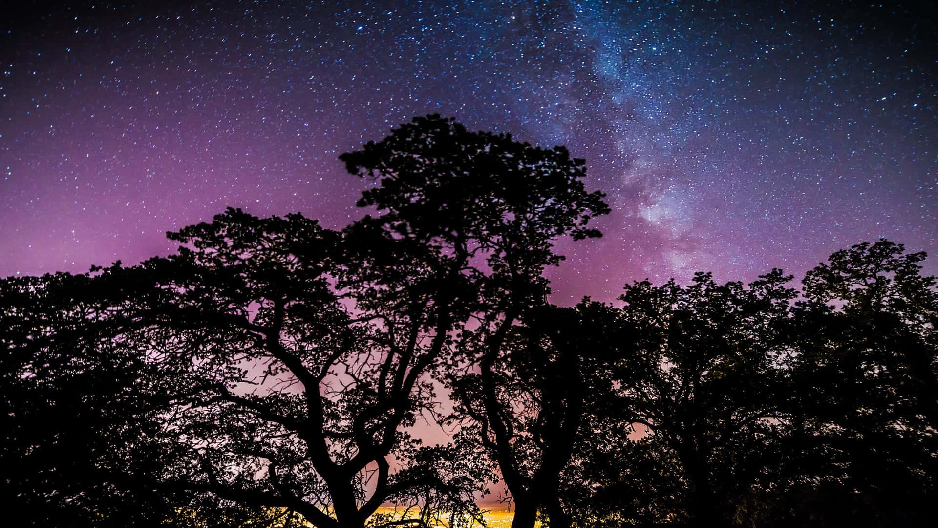 樹木剪影映襯著繁星點點的紫色夜空和銀河。