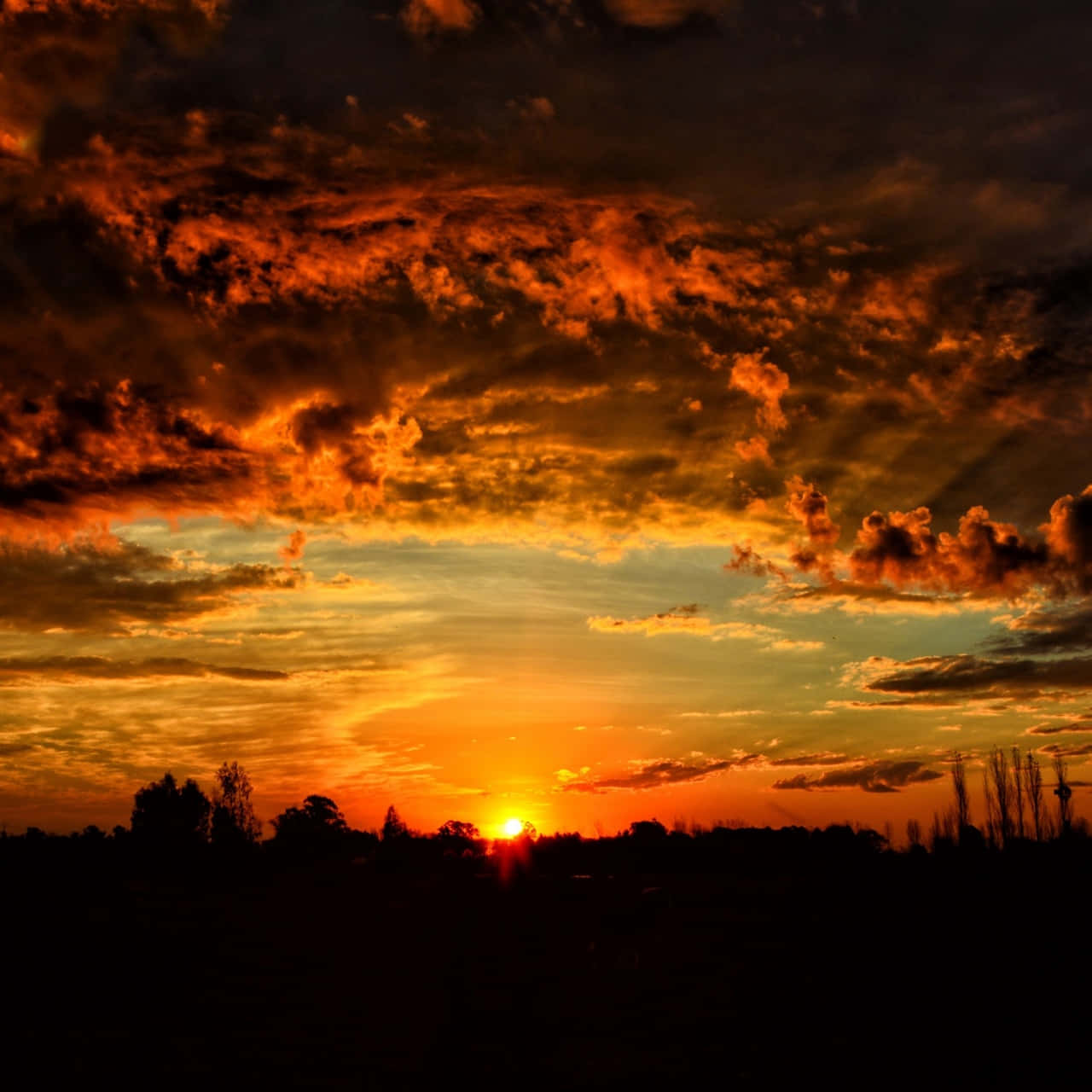 戲劇性的夕陽，熾熱的橙色雲朵籠罩在黑暗的樹木剪影之上。