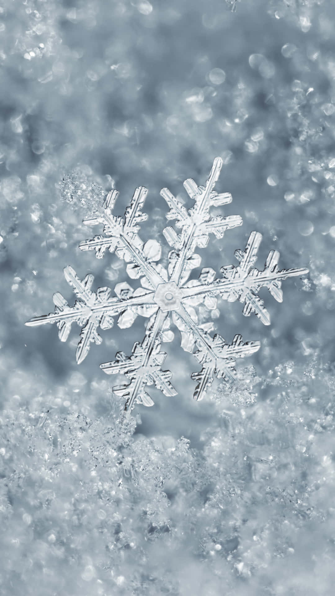 藍光下雪地上的一片精細雪花。