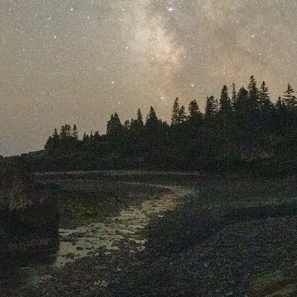 夜晚森林和湖泊上空的銀河系