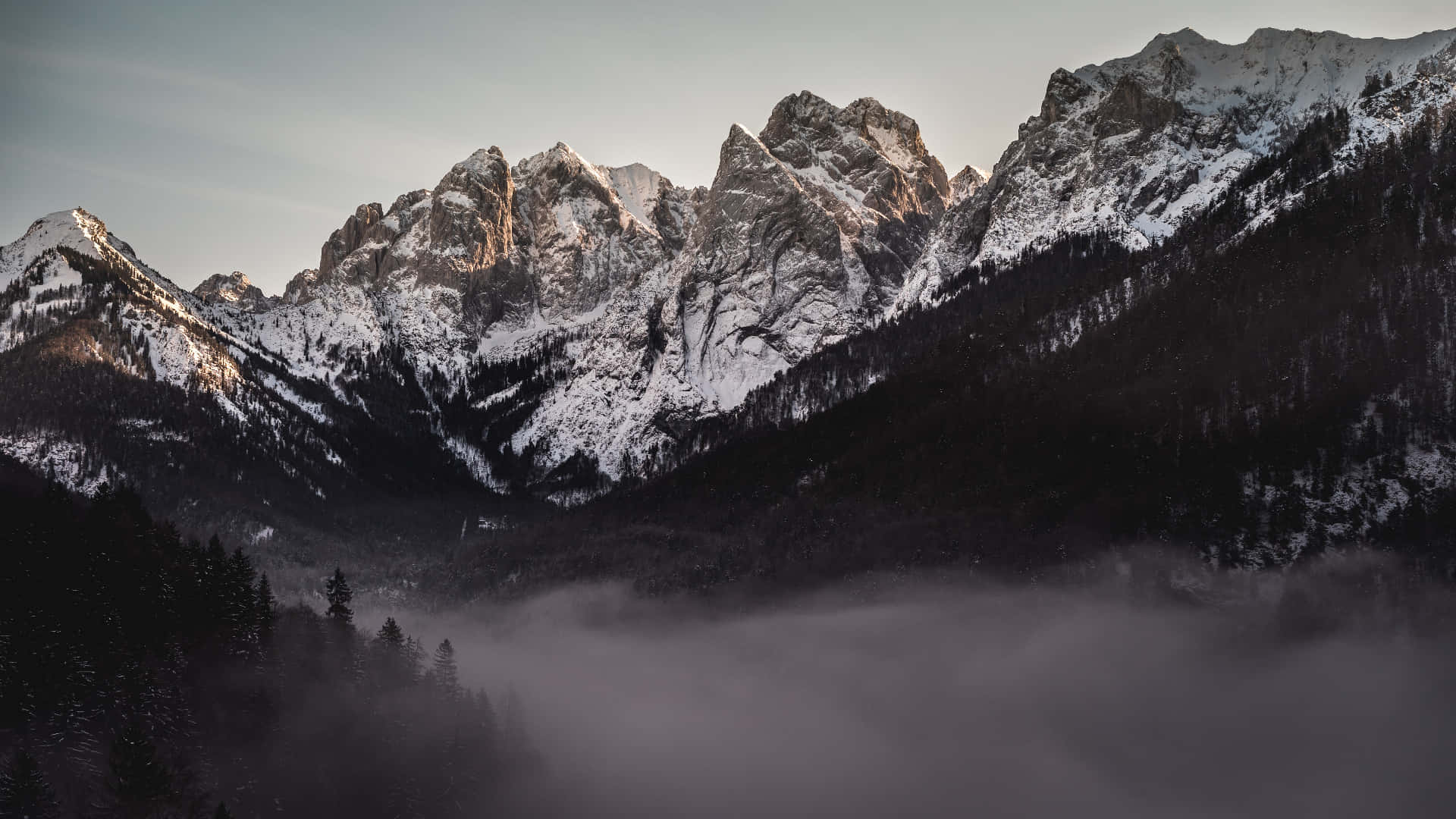 壯麗的落基山脈雪景 壁紙 — 白雪覆蓋的山峰刺穿霧濛濛的晨光，下方是黑暗的常綠森林。