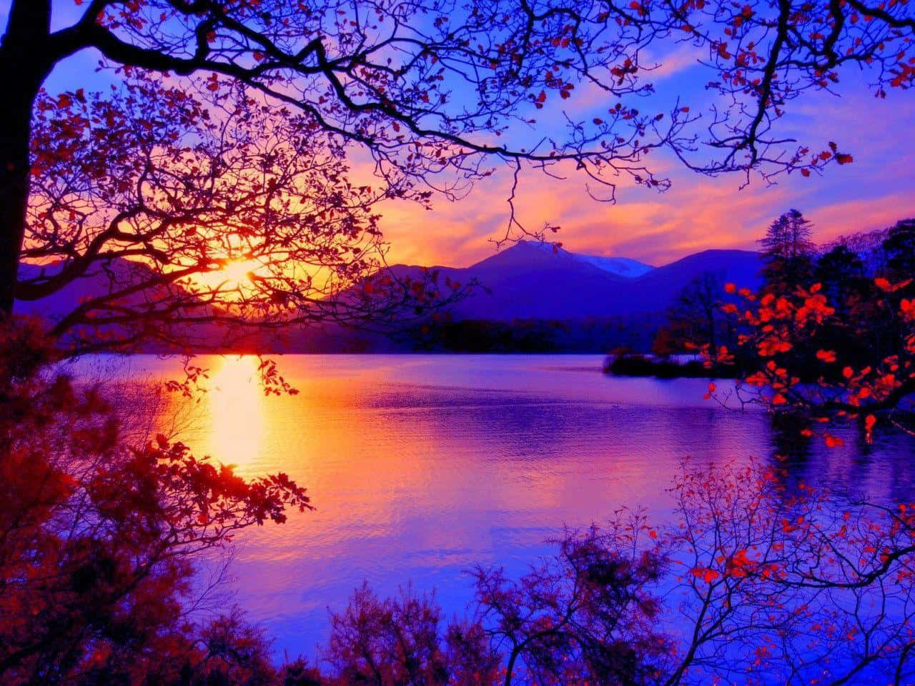 壯麗秋日夕陽灑落寧靜大地 壁紙 — 夕陽將湖泊染成火熱的橙色和深紫色，光禿的樹枝框住了閃爍的地平線。