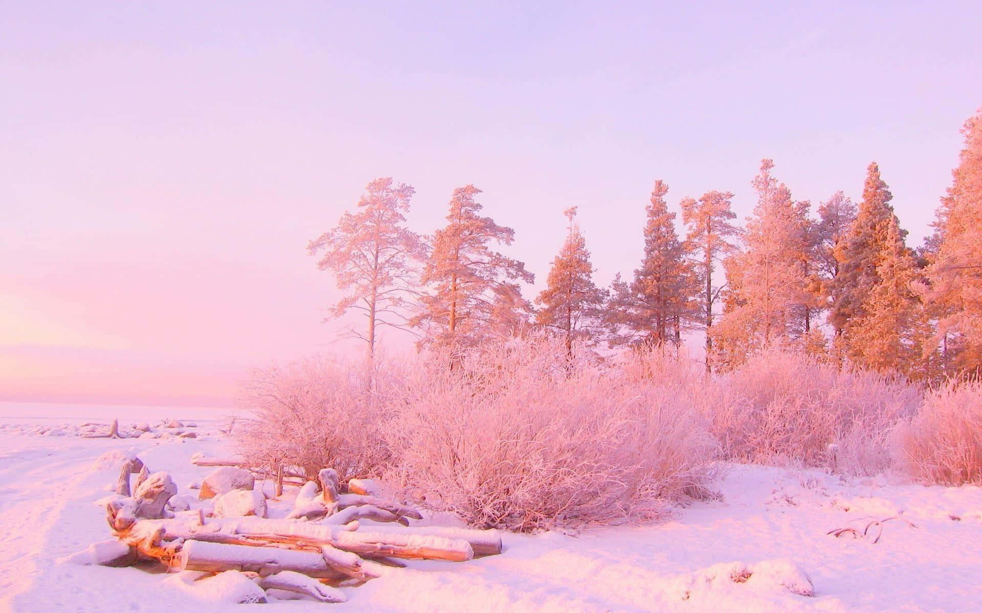 白雪皚皚的冬日場景，結霜的樹木和浮木在粉紅色天空下。