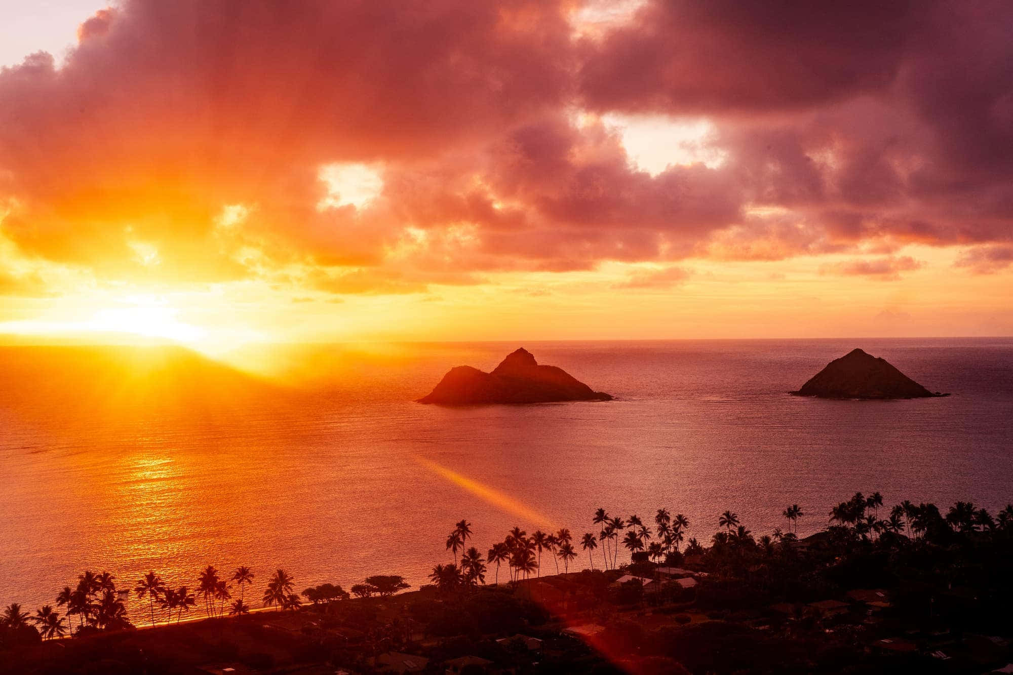 夏威夷夕陽俯瞰風景 壁紙 — 令人驚嘆的熱帶海洋日落，兩座火山島和棕櫚樹在火橙色和紫色雲彩的映襯下形成剪影。