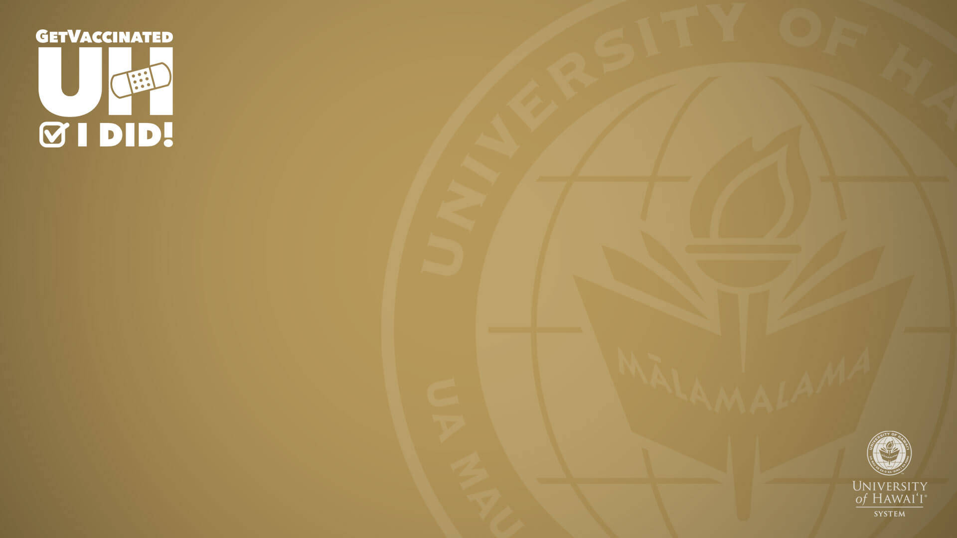 金色背景上的夏威夷大學疫苗接種活動標誌。