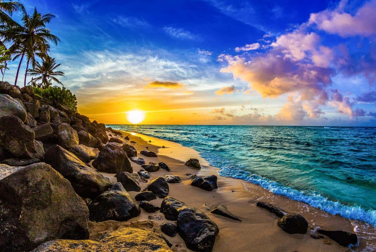 夏威夷岩石海灘日落圖片 壁紙 — 夕陽將天空和海洋染成火熱的金色和深藍色，海浪親吻著棕櫚樹成行的岩石熱帶海岸。