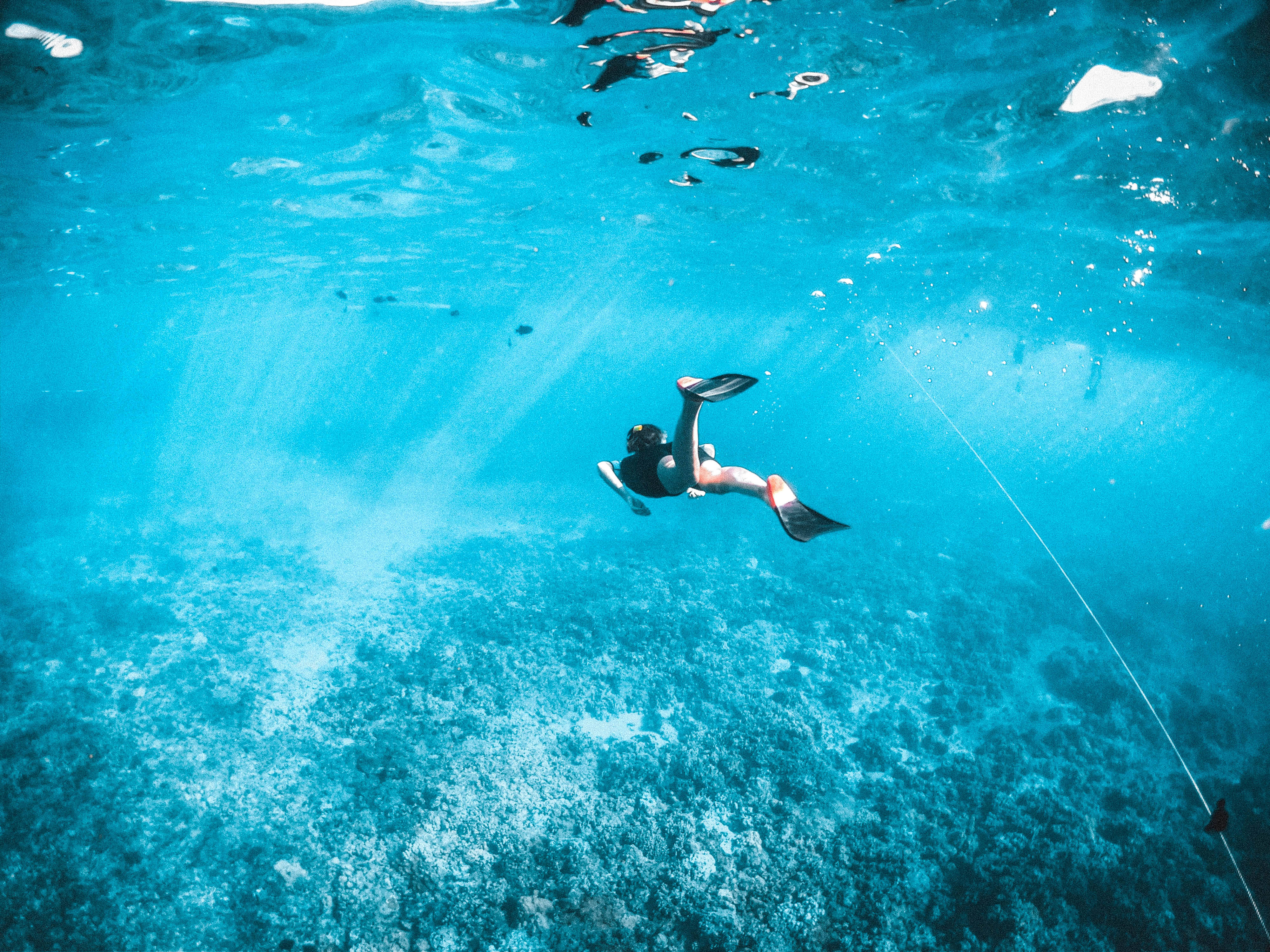 夏威夷浮潛 壁紙 — 一名浮潛者在清澈碧綠的海水中滑行，上方是陽光照射的珊瑚礁，光線穿透水面。