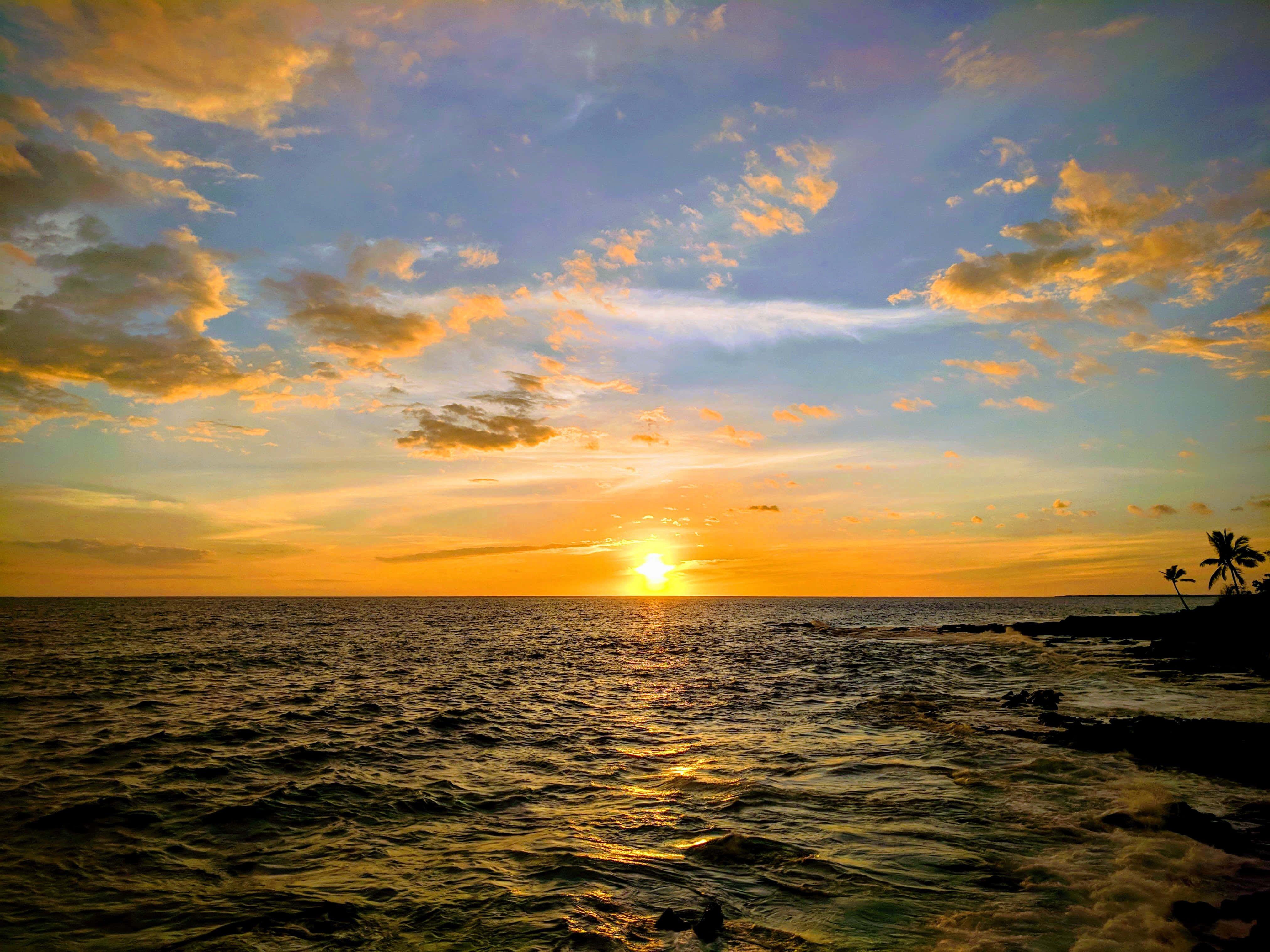 夏威夷海中日落風景 壁紙 — 海洋上的日落，金色光線反射在波浪上，岩石海岸上棕櫚樹的剪影。