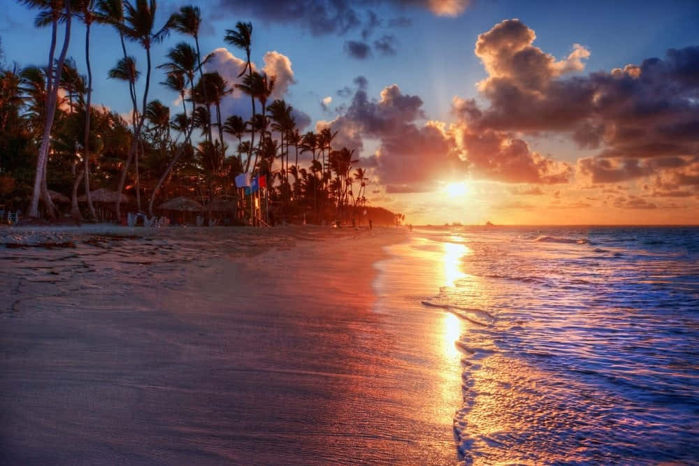 夏威夷海灘日落風景 壁紙 — 夕陽將天空染成火熱的橙色和紫色，海浪拍打著棕櫚樹成蔭的沙灘。