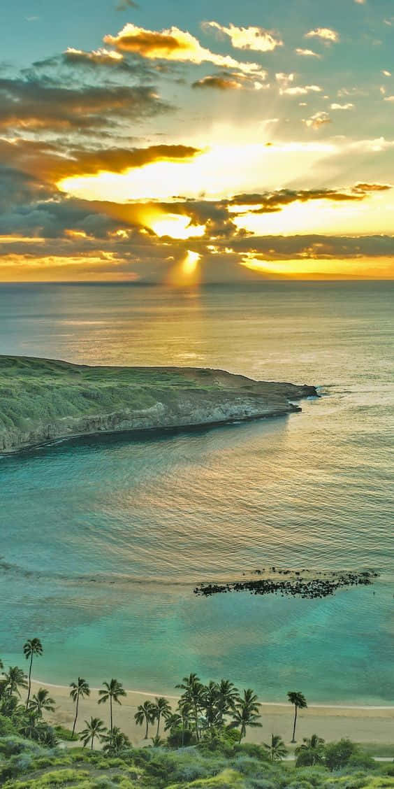 熱帶海灘日落，棕櫚樹與碧綠海洋