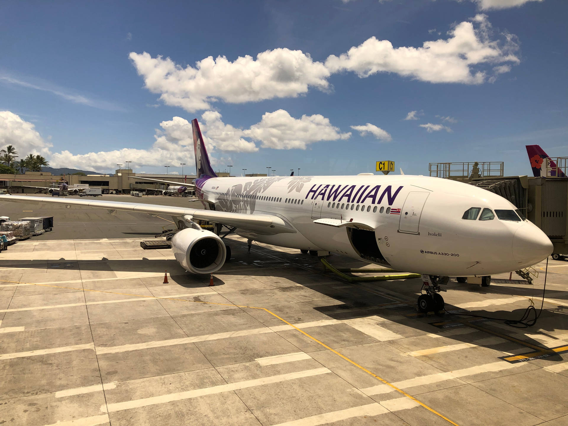 夏威夷航空飛機在晴朗日子停泊在機場閘口