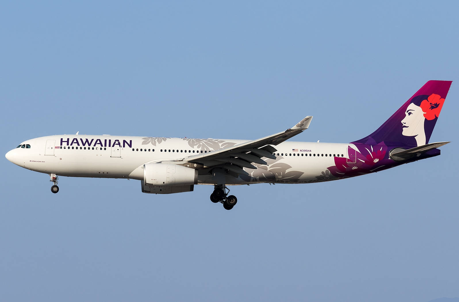 夏威夷航空飛機在藍天下飛行，起落架放下。