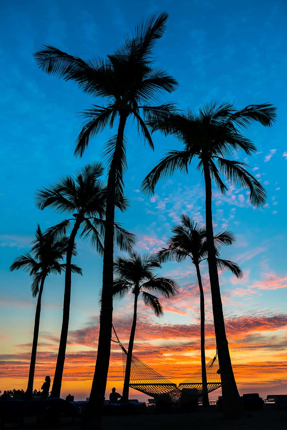 夏威夷藍橙夕陽與棕櫚樹風景 壁紙 — 棕櫚樹的剪影在充滿活力的日落天空（橙色和藍色調）中搖曳，懸掛在海灘吊床上方。