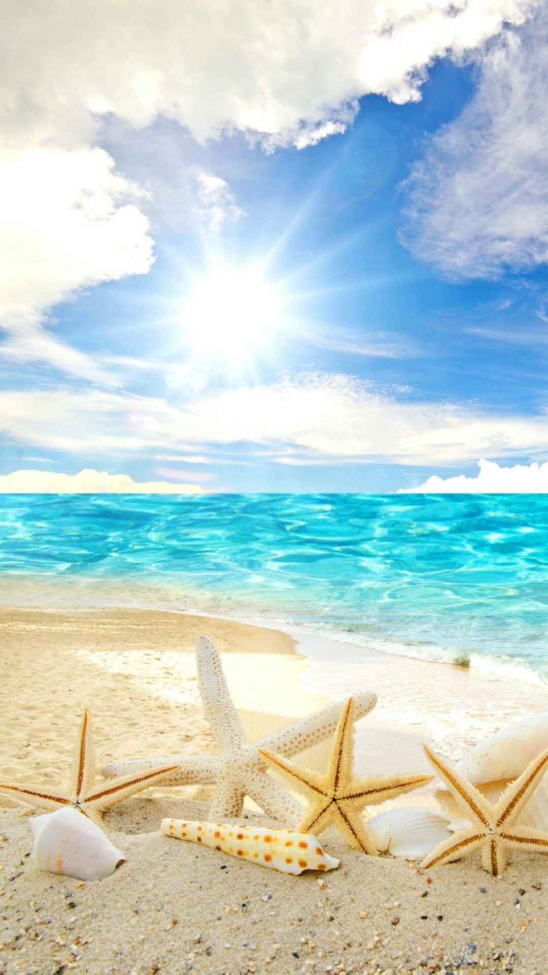 夏日天堂的壯麗景色 壁紙 — 陽光照射在碧綠的海浪上，拍打著散落著海星和貝殼的沙灘。