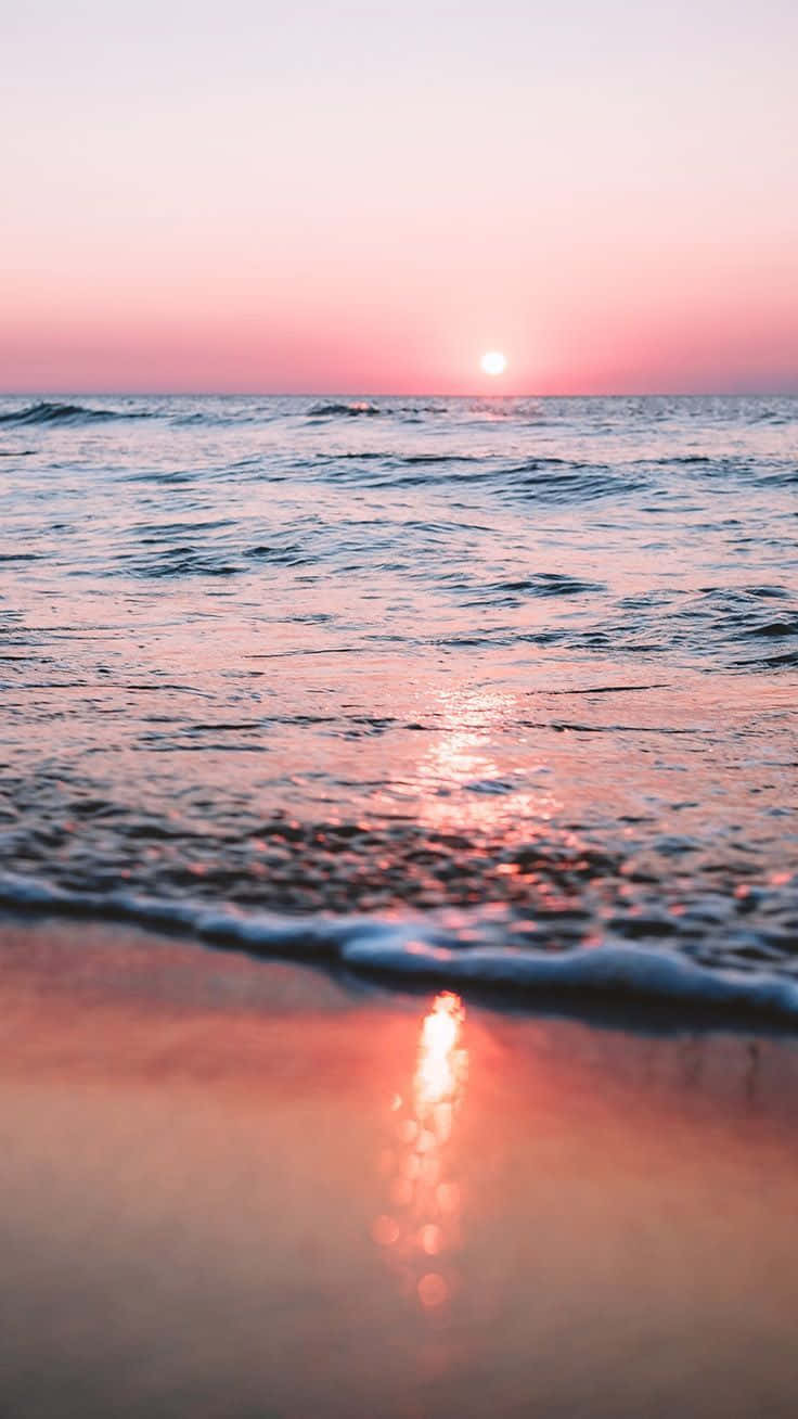夏日學院風氣息 壁紙 — 夕陽將海洋染成粉紅色，溫柔的海浪輕拍海岸，映出柔和的光芒。