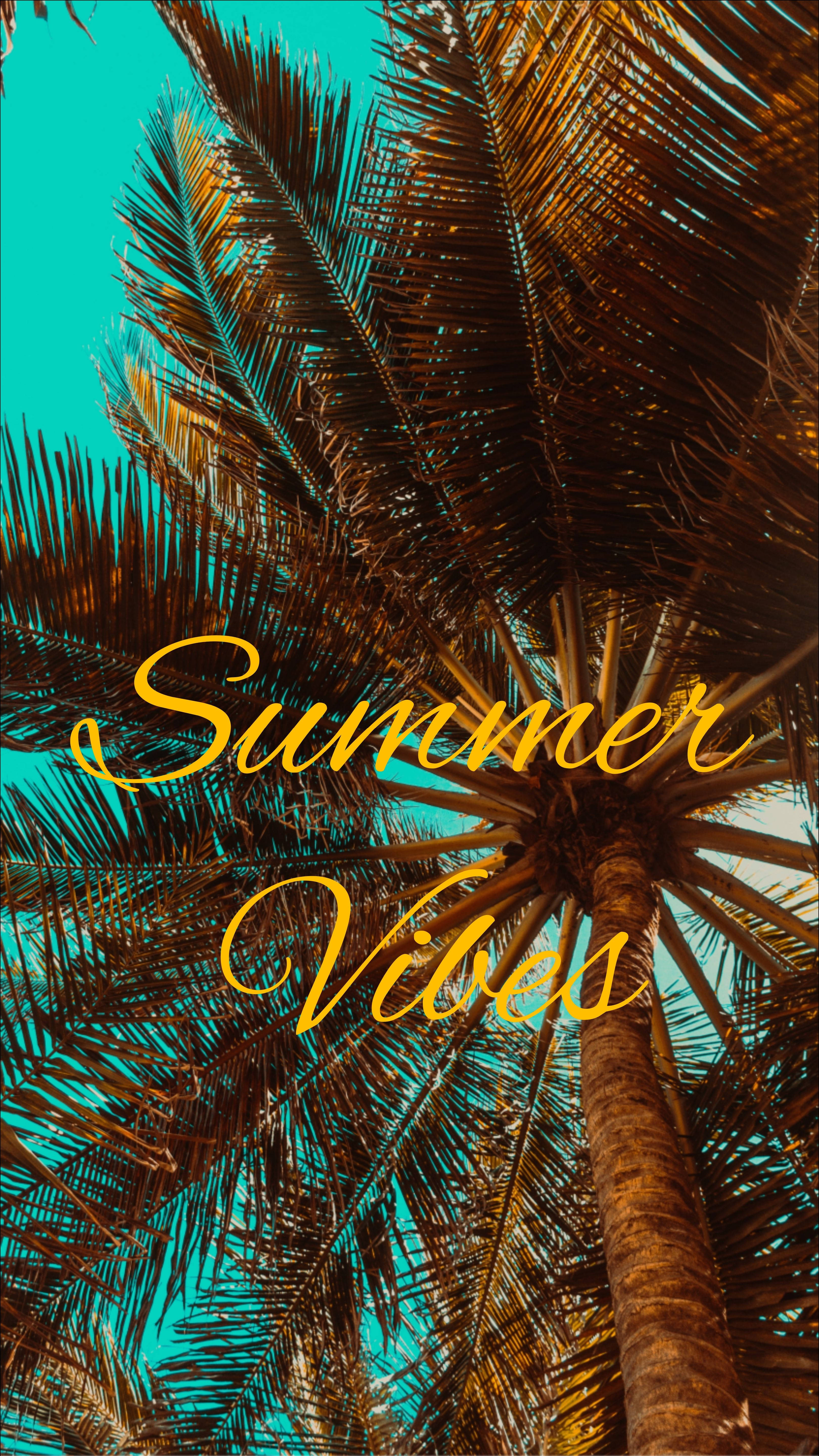 夏日時尚風 壁紙 — 從下方仰望充滿活力的熱帶棕櫚樹，映襯著青綠色的天空，帶有金色的「Summer Vibes」文字。