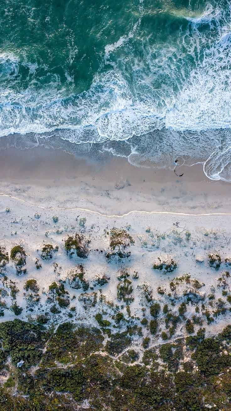俯瞰圖：海浪與沙灘交匯，沙灘上有沙丘植被。