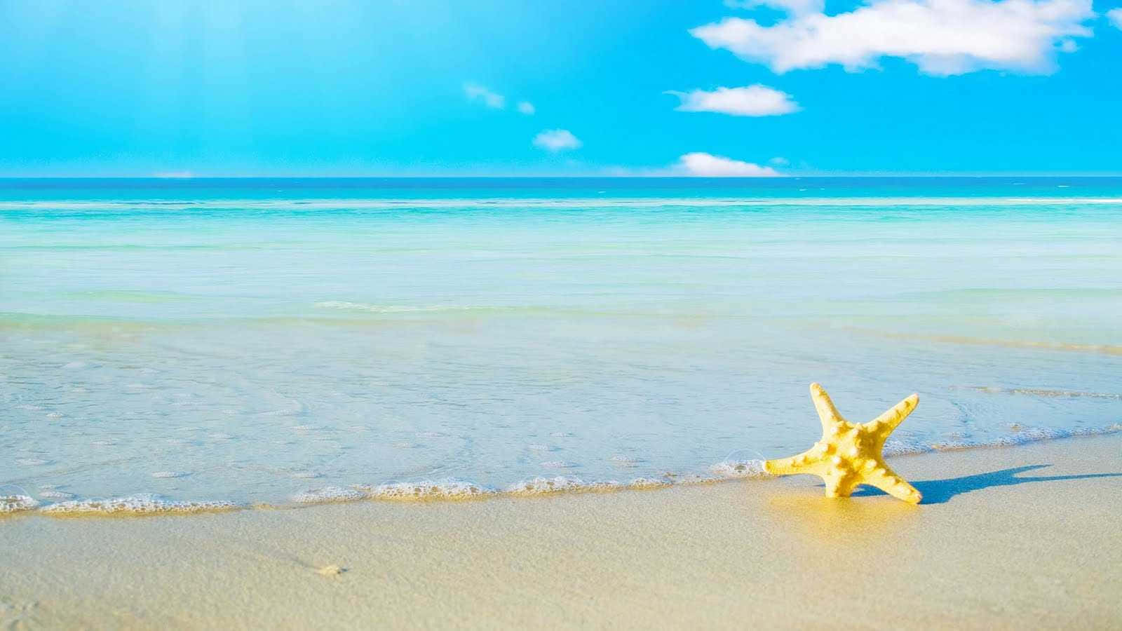 夏日海灘海星美學畫面 壁紙 — 一隻明亮的黃色海星躺在陽光照耀的沙灘上，溫柔的海浪拍打著海岸，天空湛藍，白雲朵朵。