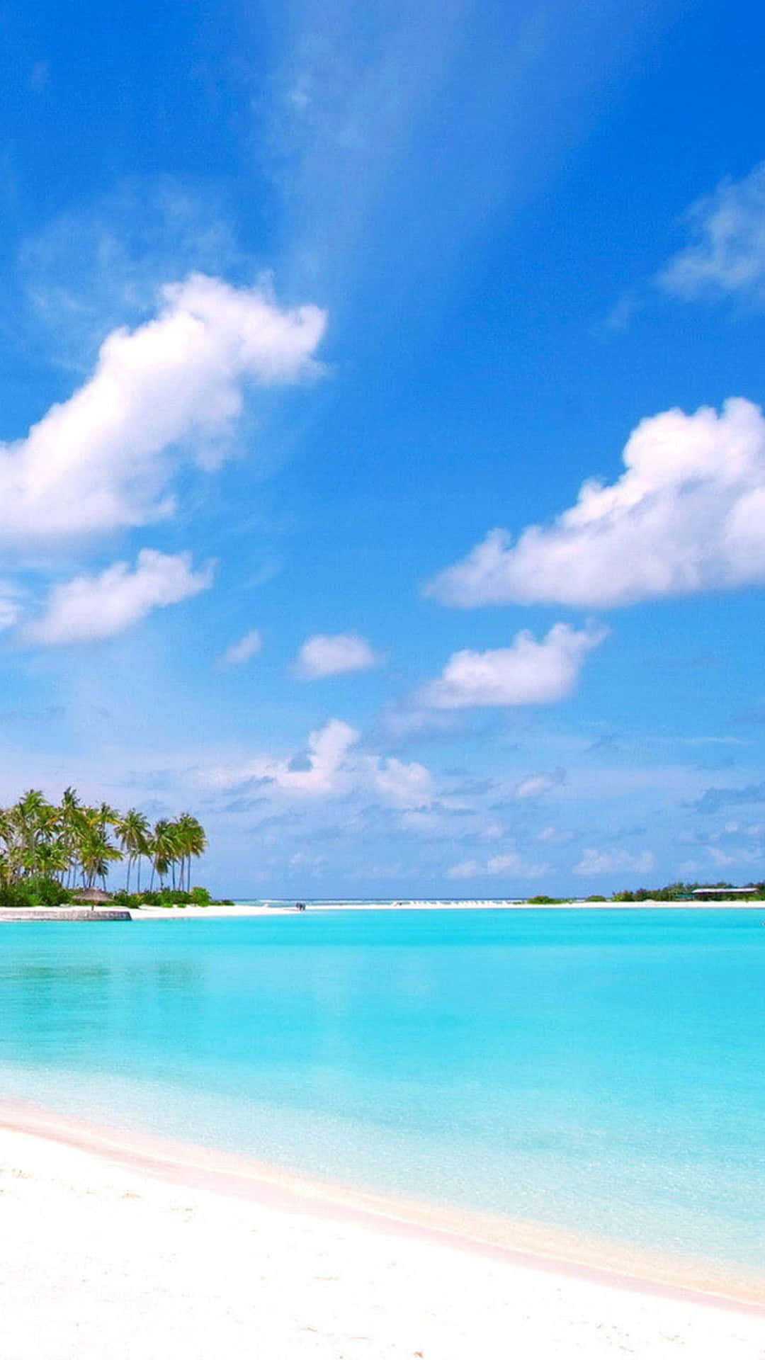 熱帶海灘，有碧綠的海水、白色的沙灘和棕櫚樹，在藍天下。