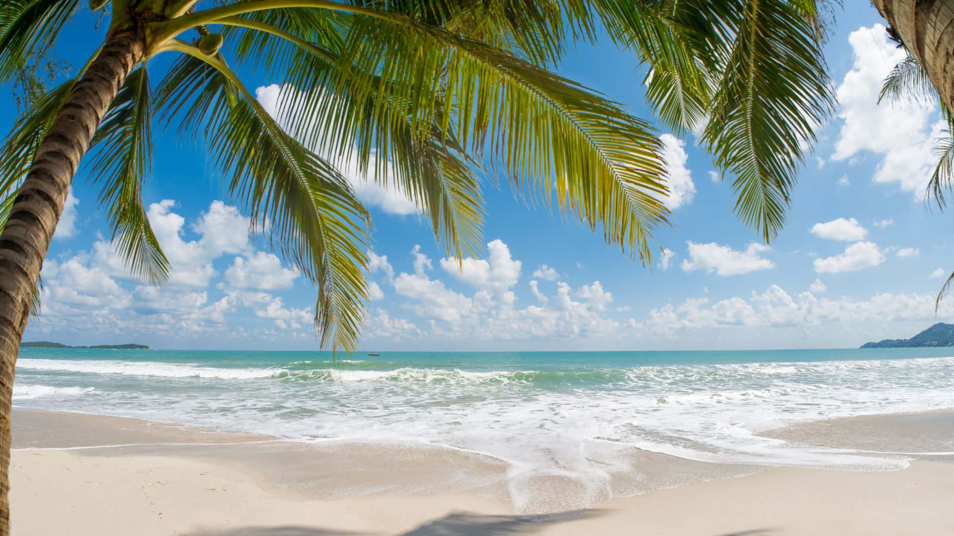 夏日熱帶海灘風景 壁紙 — 棕櫚葉框住的熱帶海灘場景，碧綠色的海浪拍打著白色沙灘，上方是明亮的藍天。