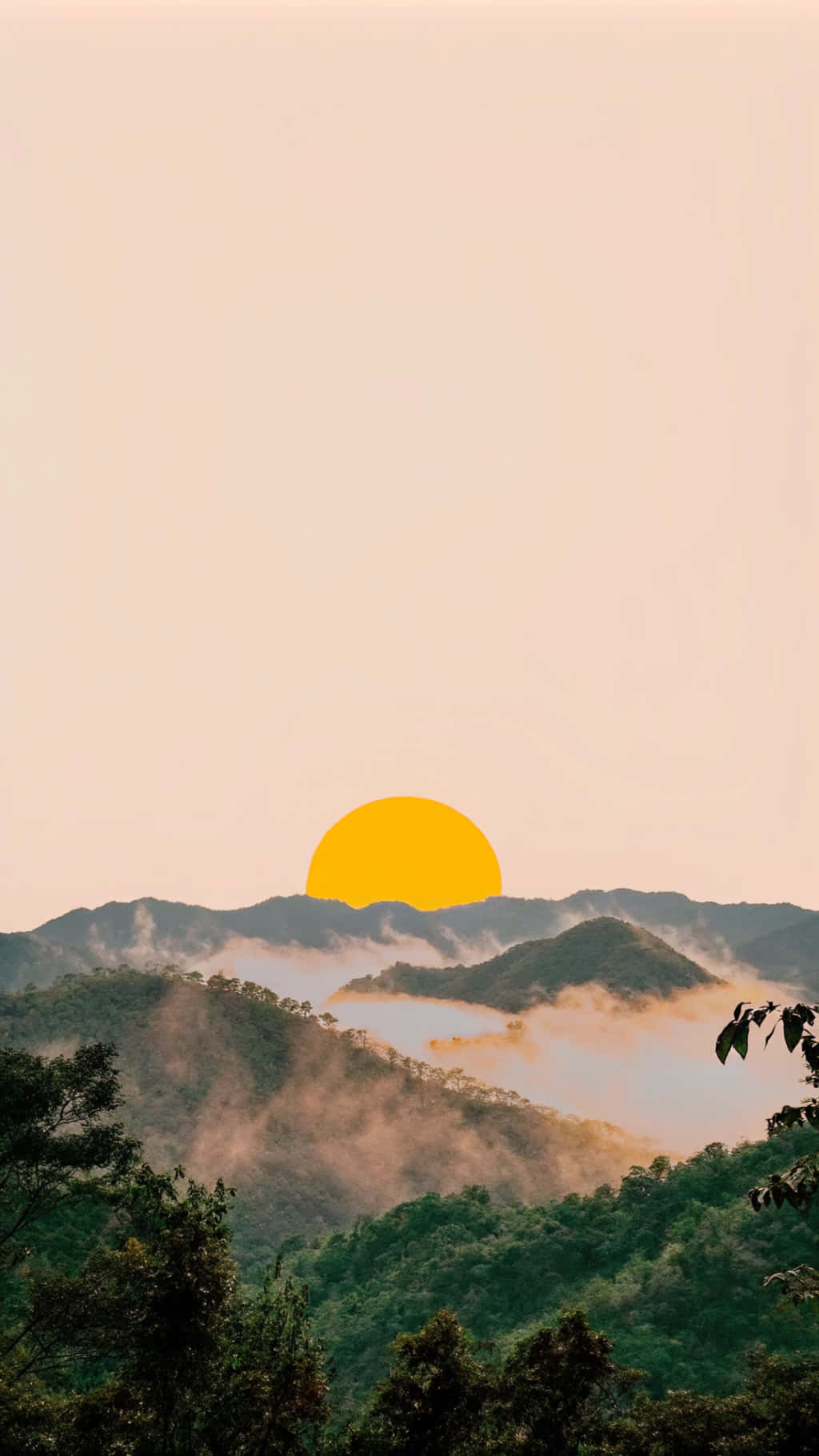夕照山景美學 壁紙 — 一輪鮮黃色的太陽在霧氣籠罩的綠色山巒和前景樹木上方升起。